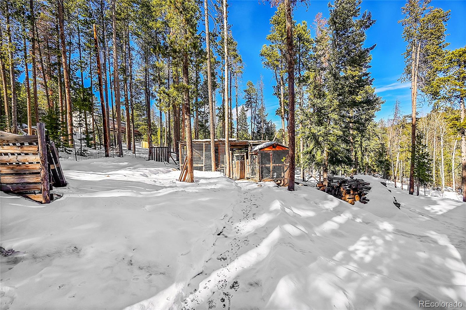 MLS Image #30 for 11097 s wallace avenue,conifer, Colorado