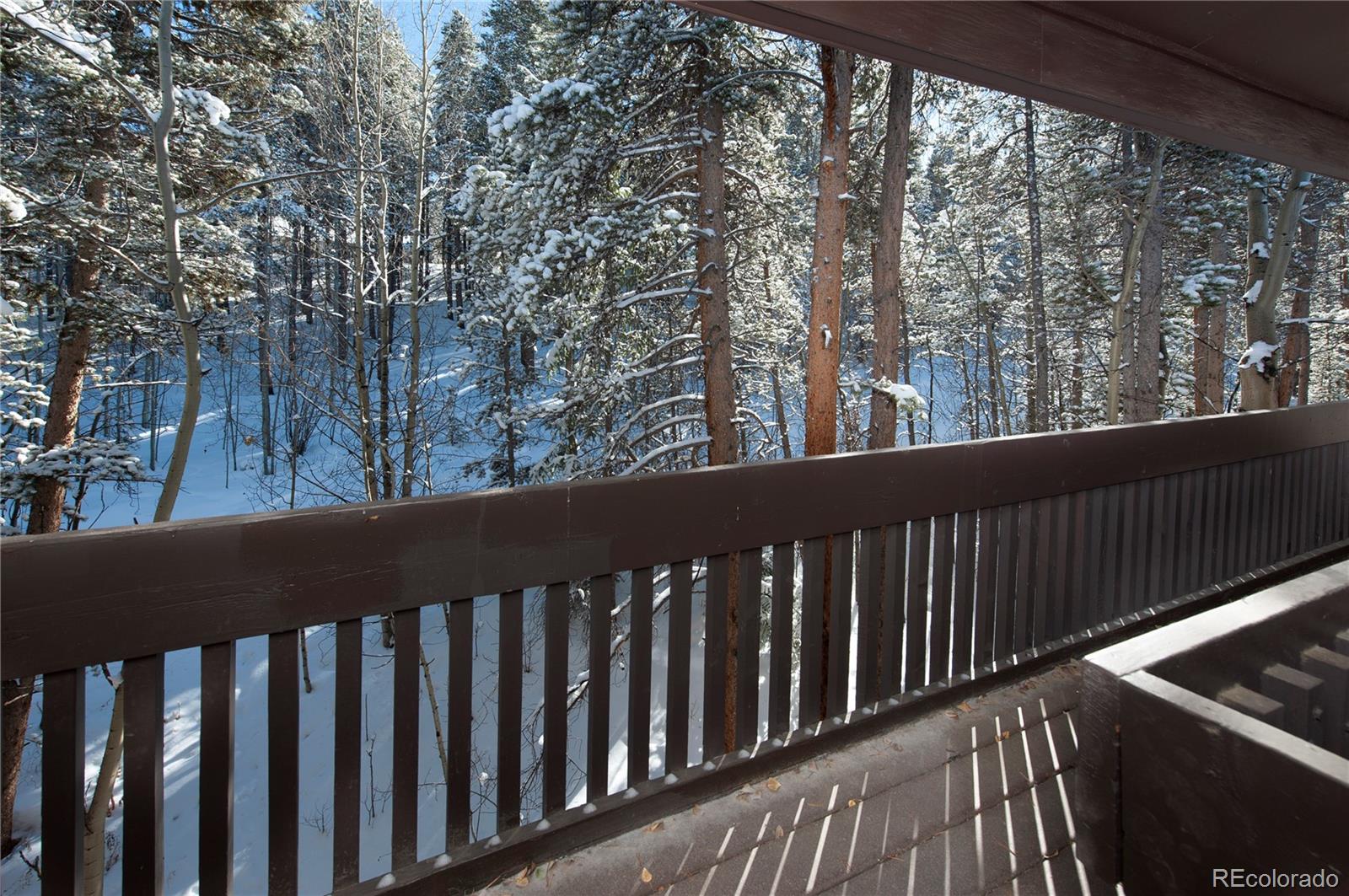 MLS Image #21 for 246  broken lance drive 503,breckenridge, Colorado