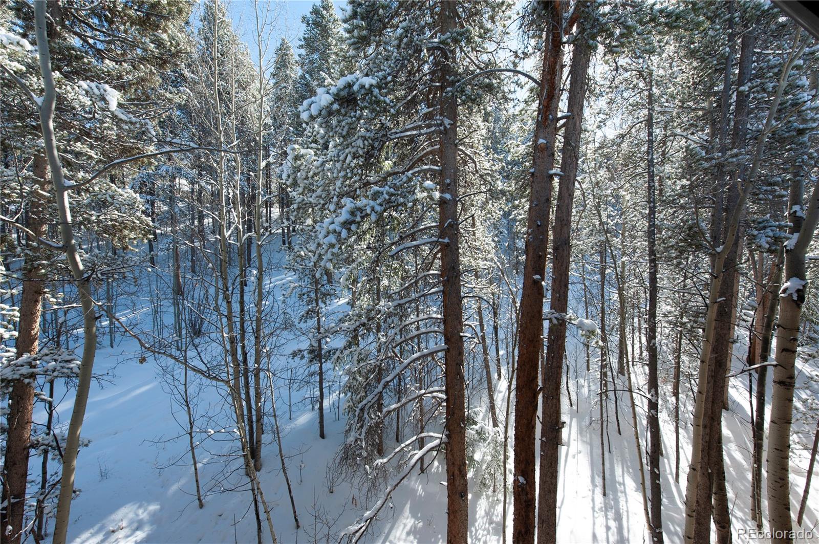 MLS Image #22 for 246  broken lance drive 503,breckenridge, Colorado