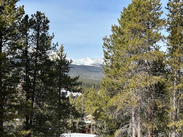 MLS Image #30 for 246  broken lance drive 503,breckenridge, Colorado