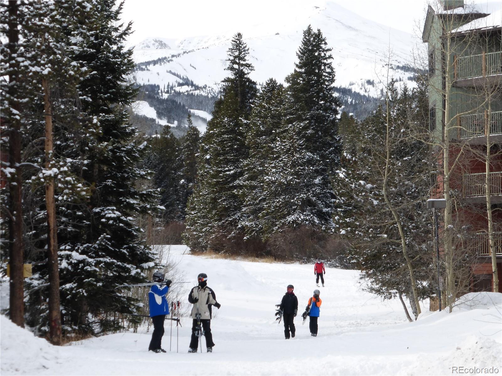 MLS Image #1 for 100 s park avenue,breckenridge, Colorado