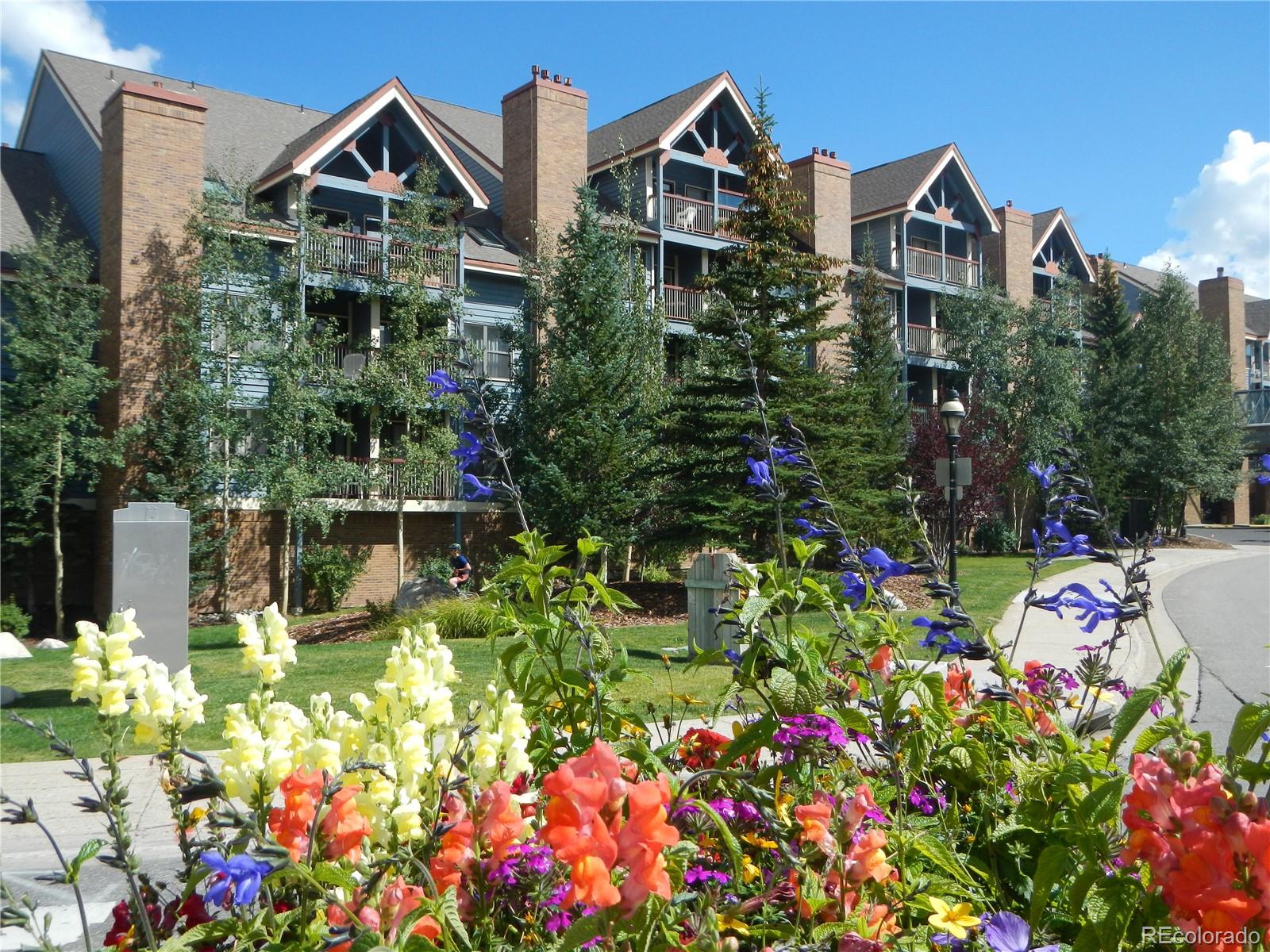 MLS Image #17 for 100 s park avenue,breckenridge, Colorado