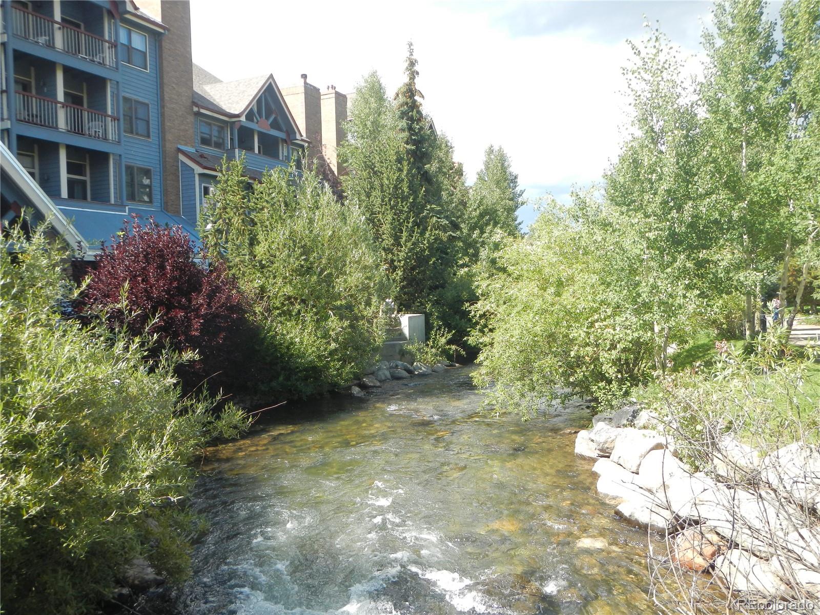 MLS Image #19 for 100 s park avenue,breckenridge, Colorado