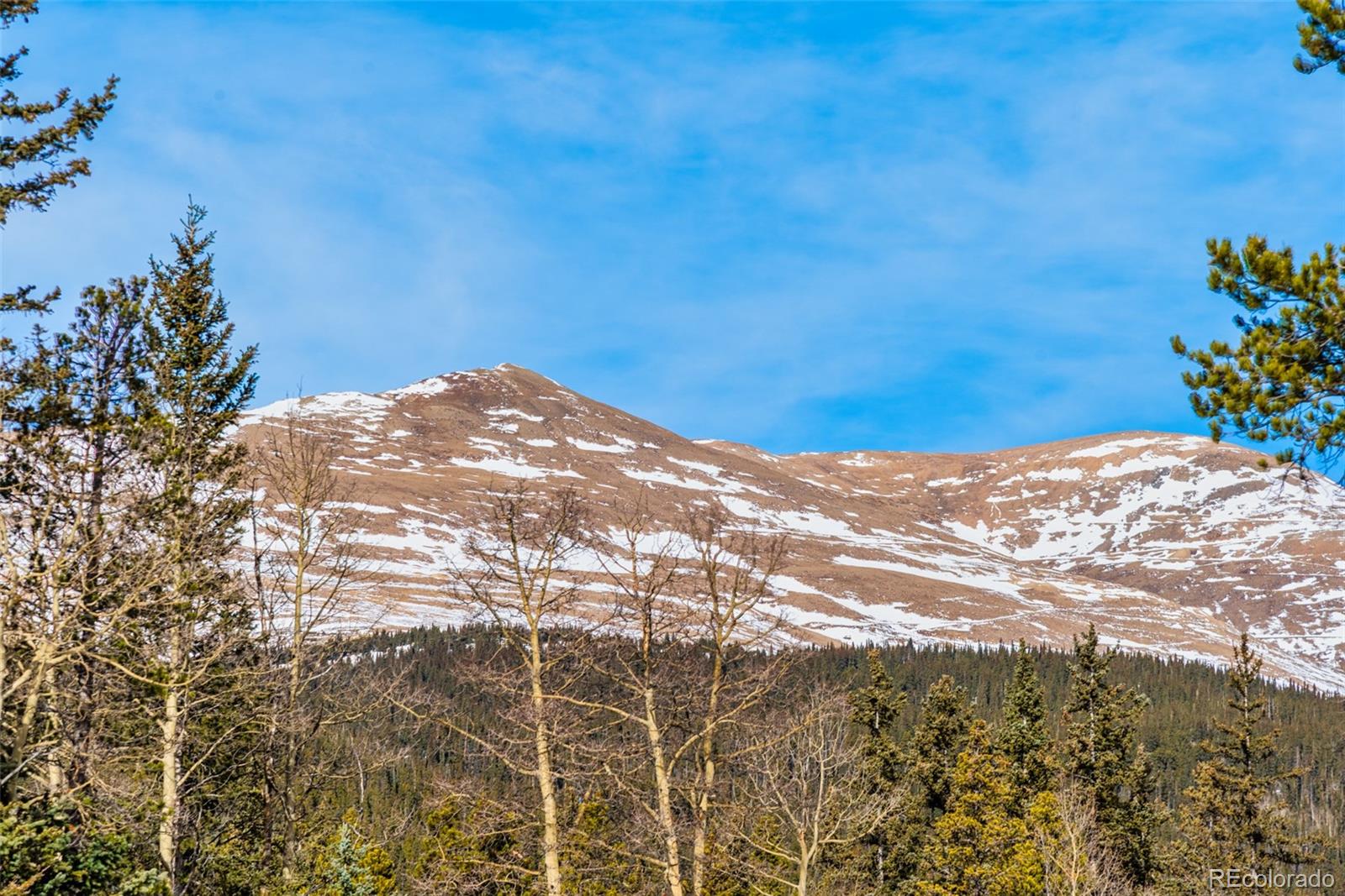 MLS Image #30 for 493  fifth street,alma, Colorado