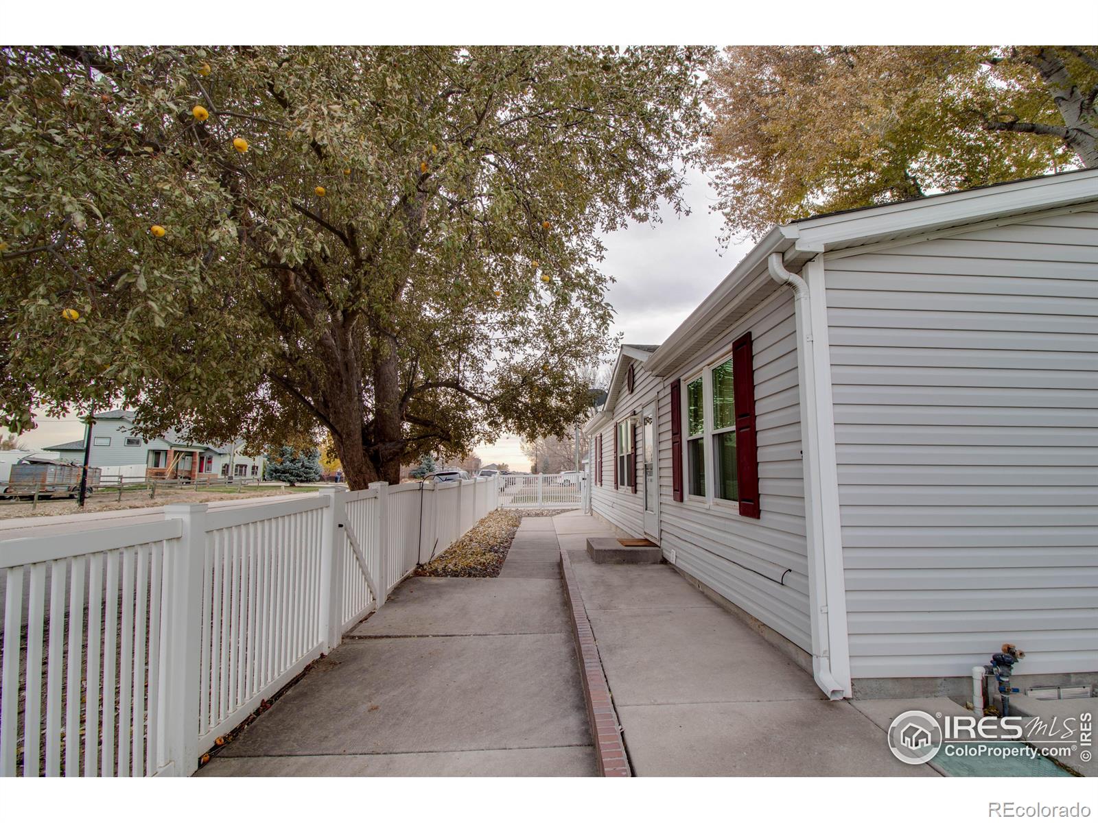 MLS Image #29 for 248 w 4th avenue,severance, Colorado