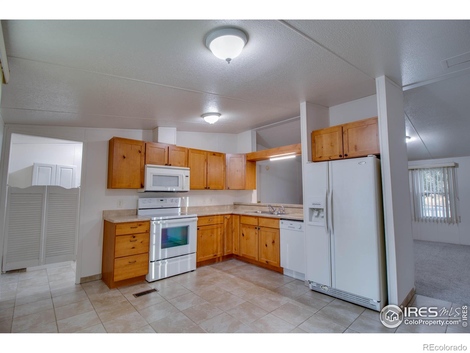 MLS Image #7 for 248 w 4th avenue,severance, Colorado