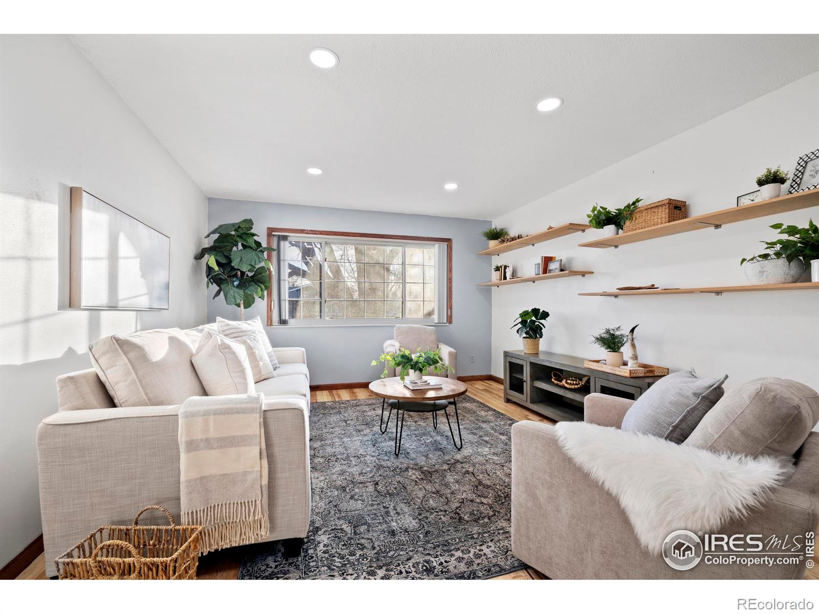 MLS Image #5 for 1027  cottonwood drive,windsor, Colorado