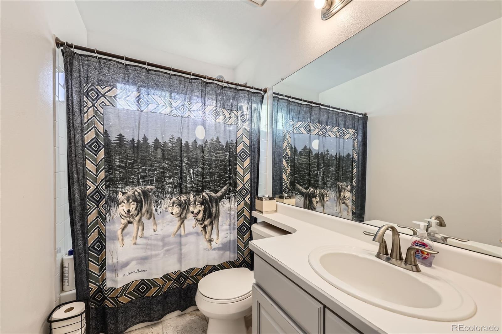 MLS Image #21 for 12902 w 84th place,arvada, Colorado