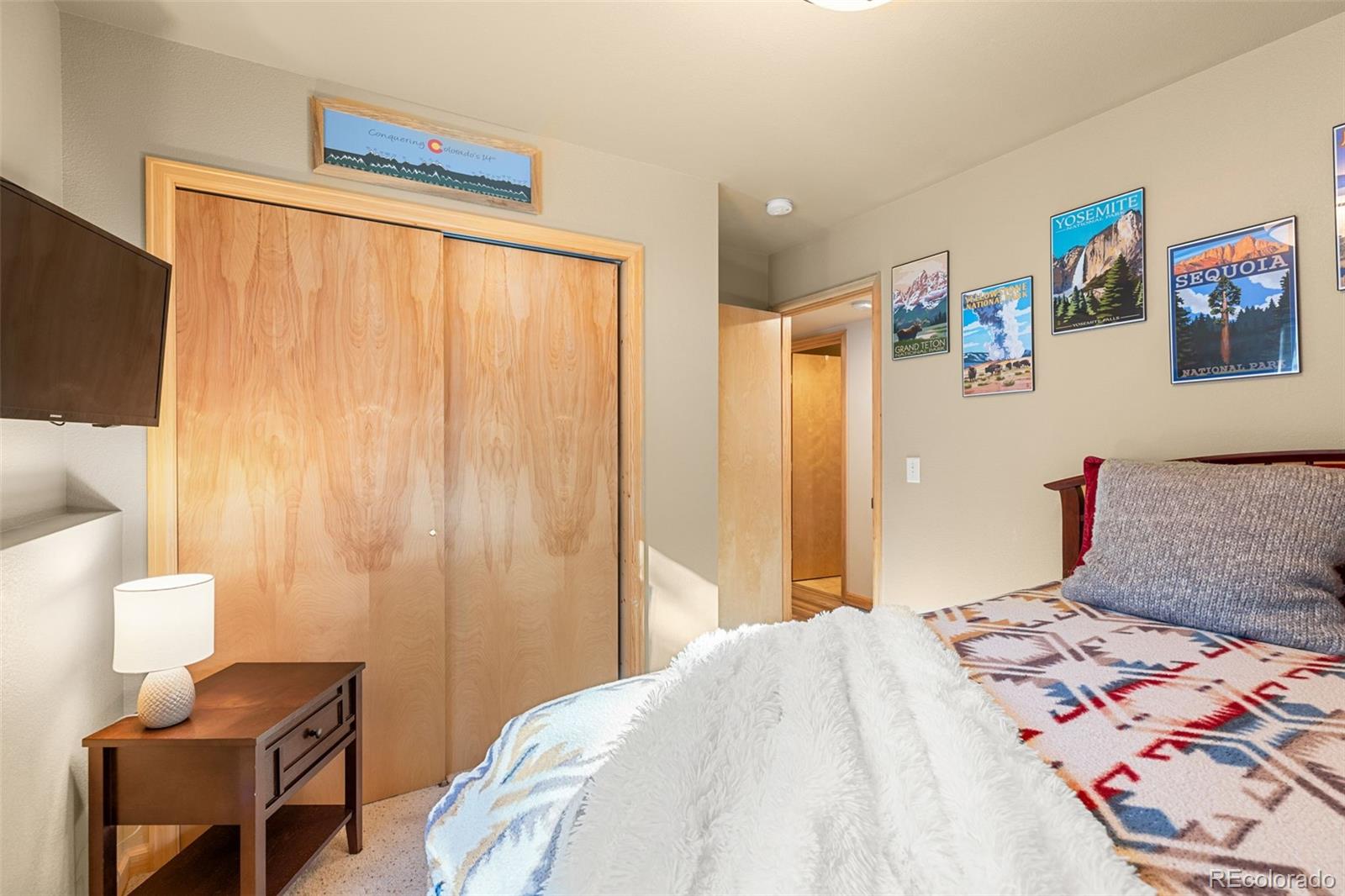 MLS Image #17 for 1333  high creek road,fairplay, Colorado