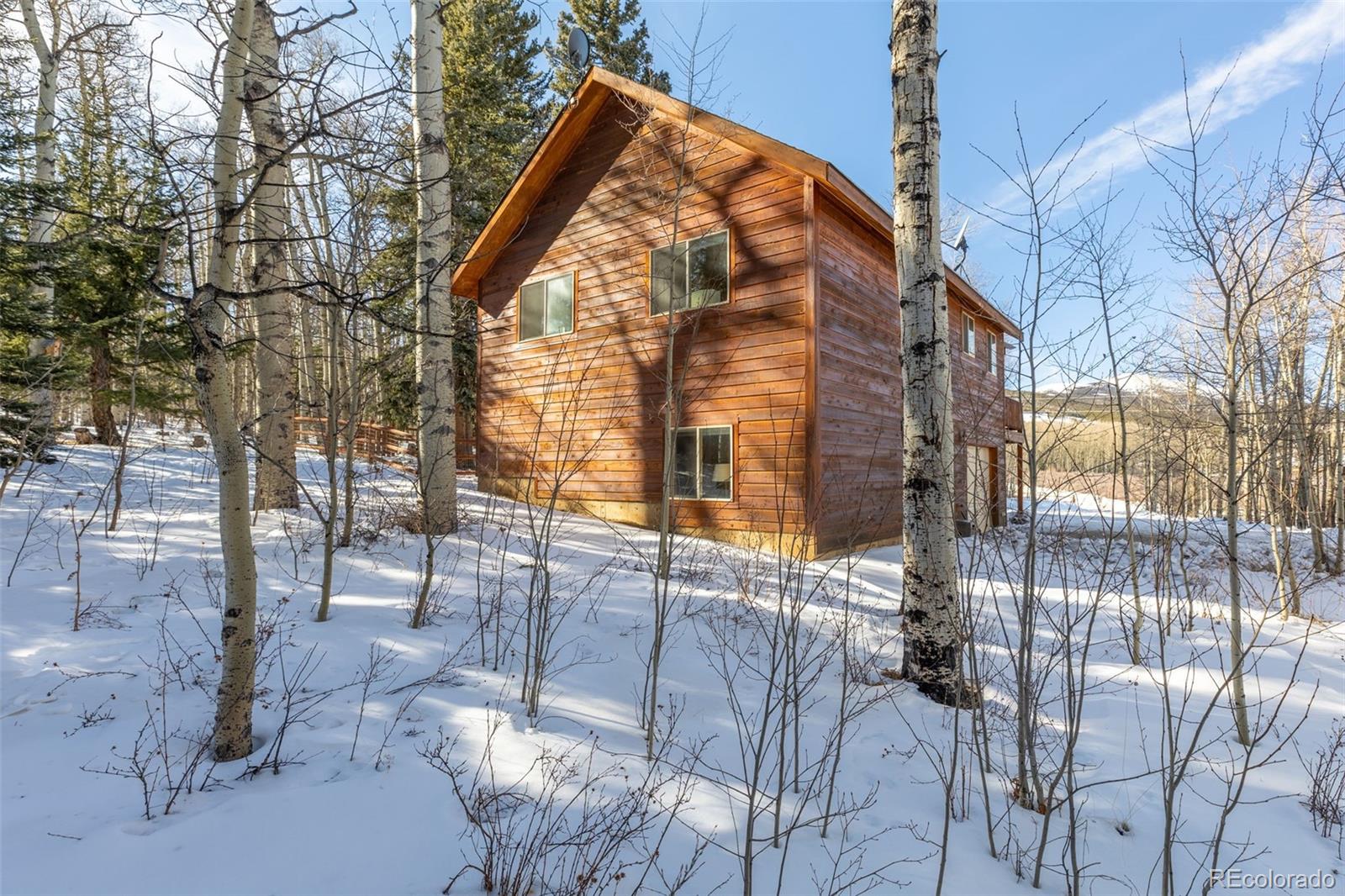 MLS Image #2 for 1333  high creek road,fairplay, Colorado