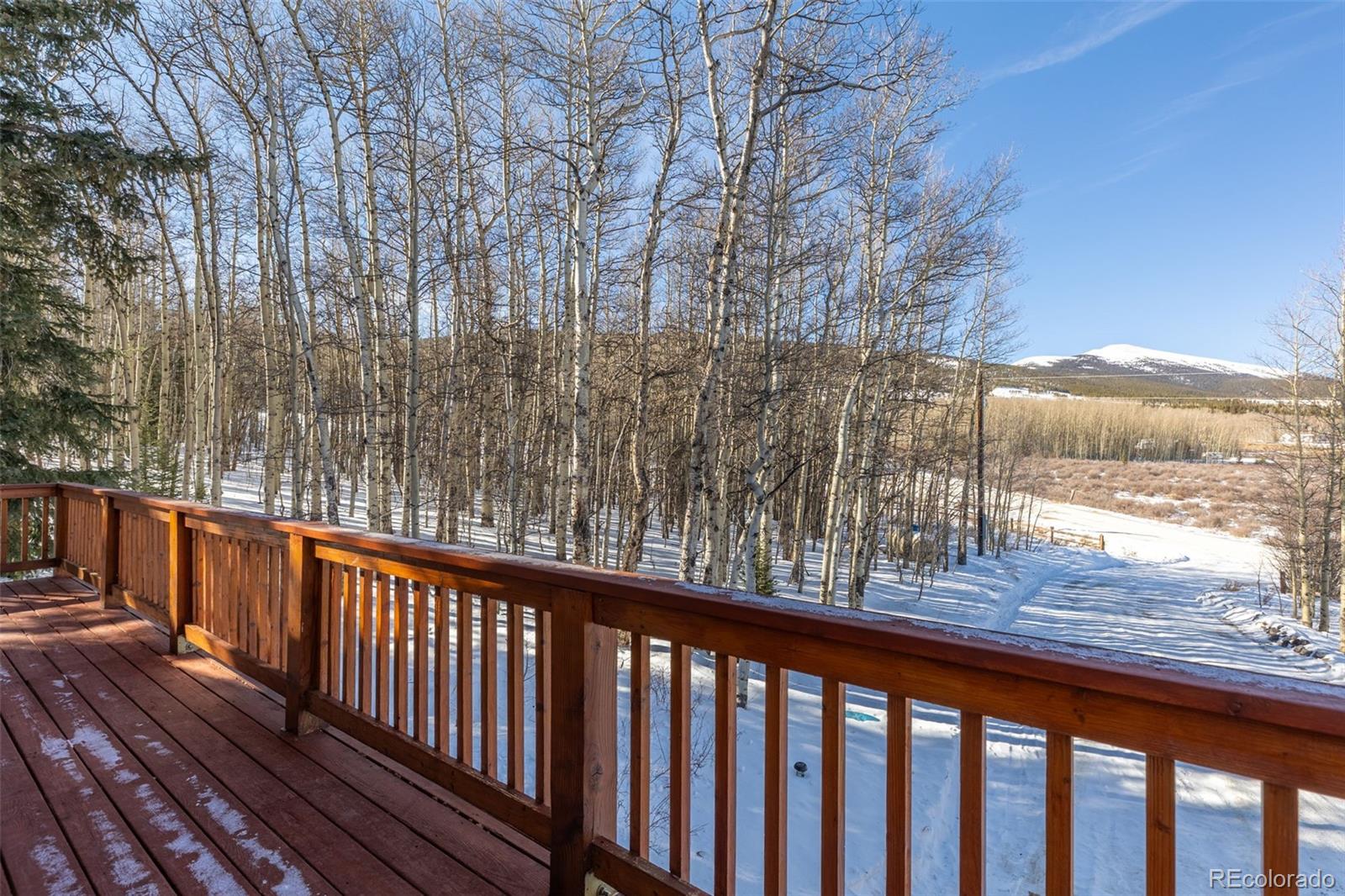 MLS Image #29 for 1333  high creek road,fairplay, Colorado