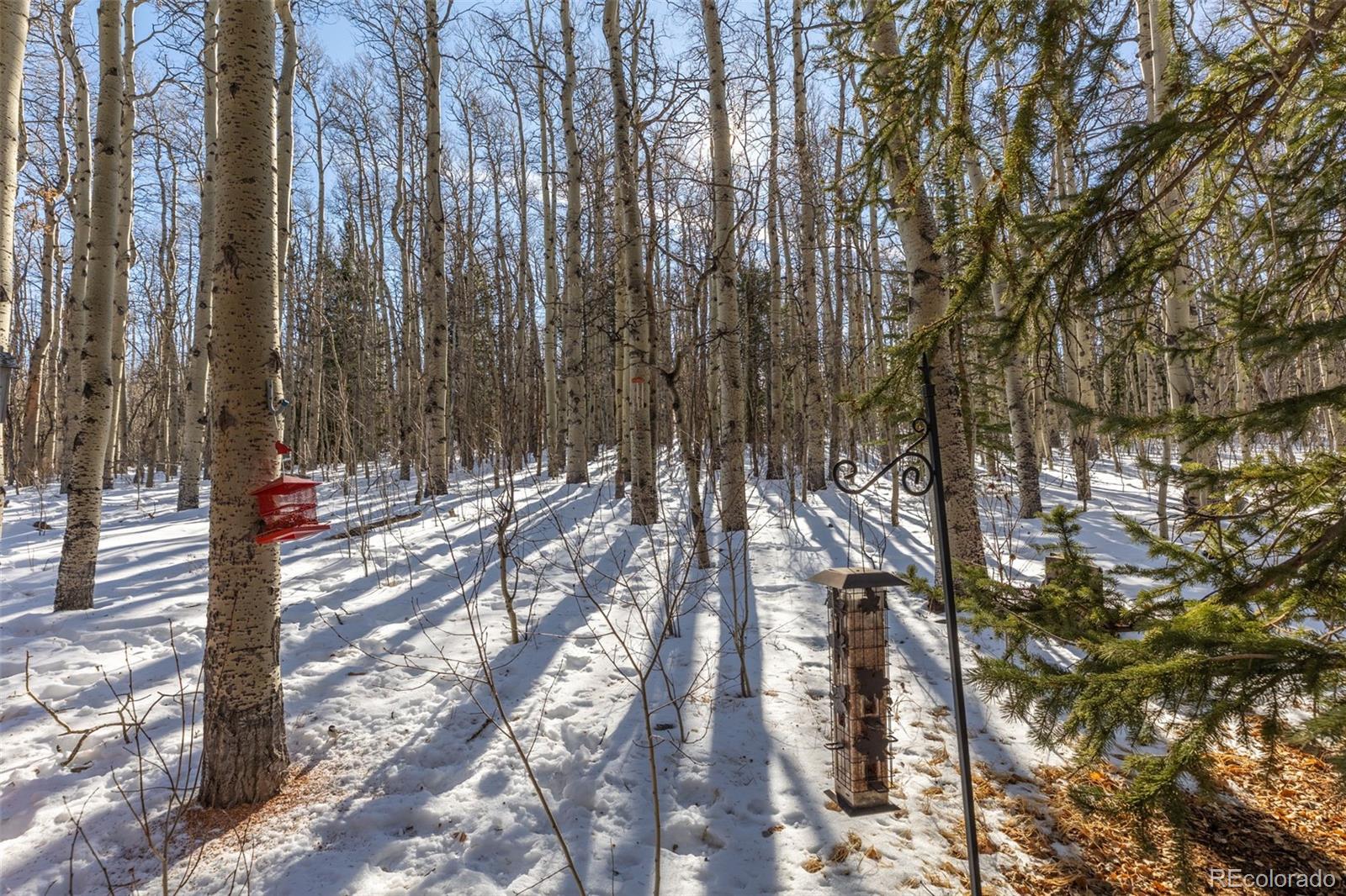 MLS Image #32 for 1333  high creek road,fairplay, Colorado