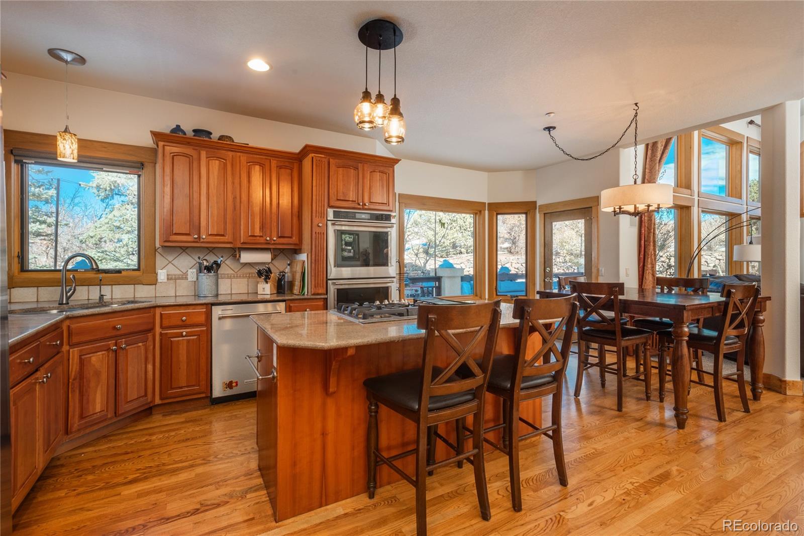 MLS Image #14 for 3891  windchant circle,castle rock, Colorado