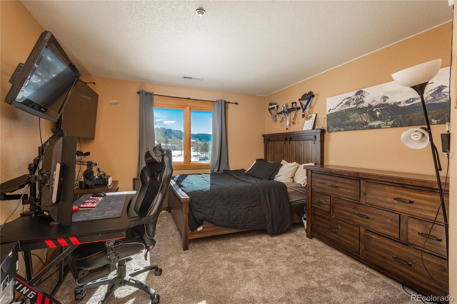 MLS Image #28 for 3891  windchant circle,castle rock, Colorado