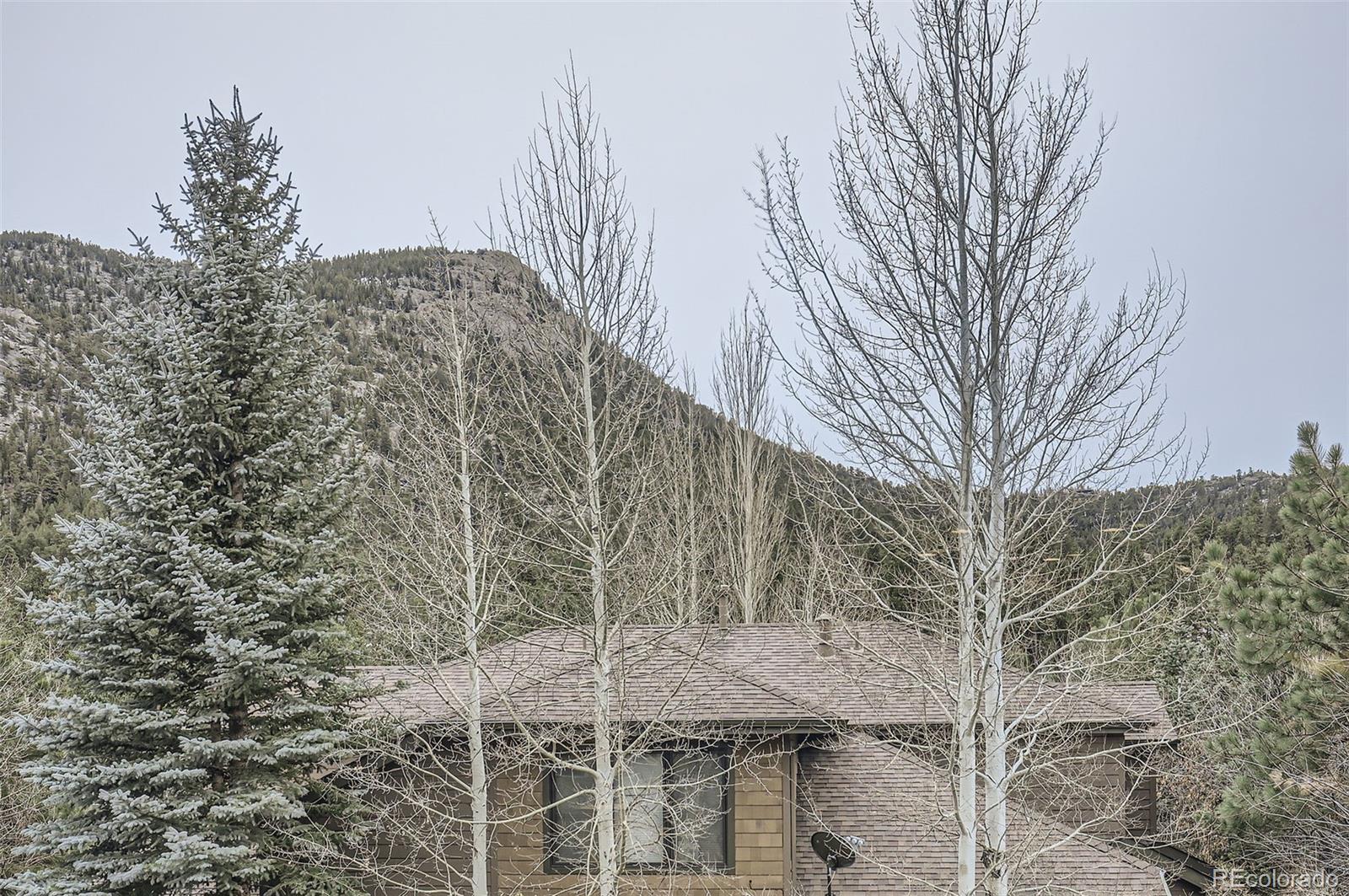 MLS Image #27 for 609  park river place,estes park, Colorado