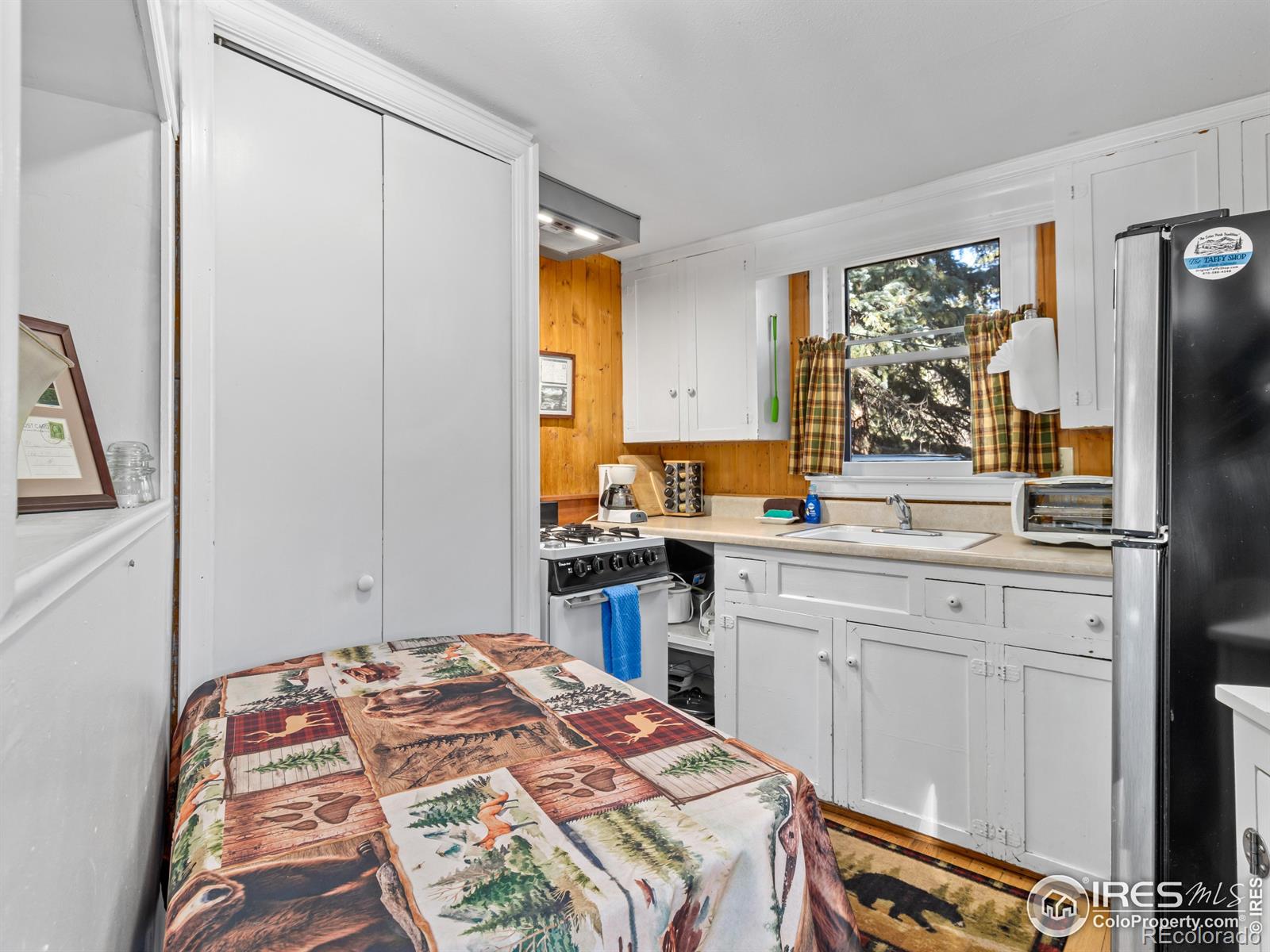 MLS Image #11 for 2391  wild bear way,estes park, Colorado