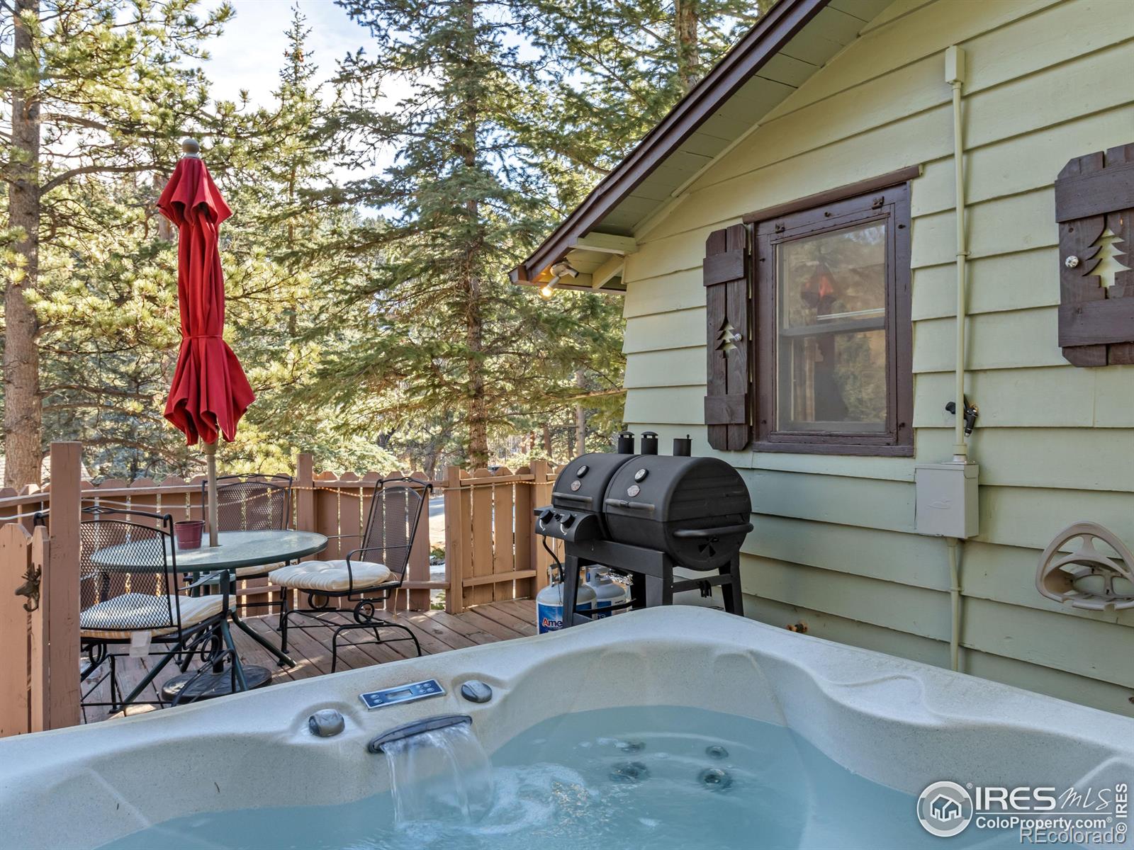 MLS Image #14 for 2391  wild bear way,estes park, Colorado