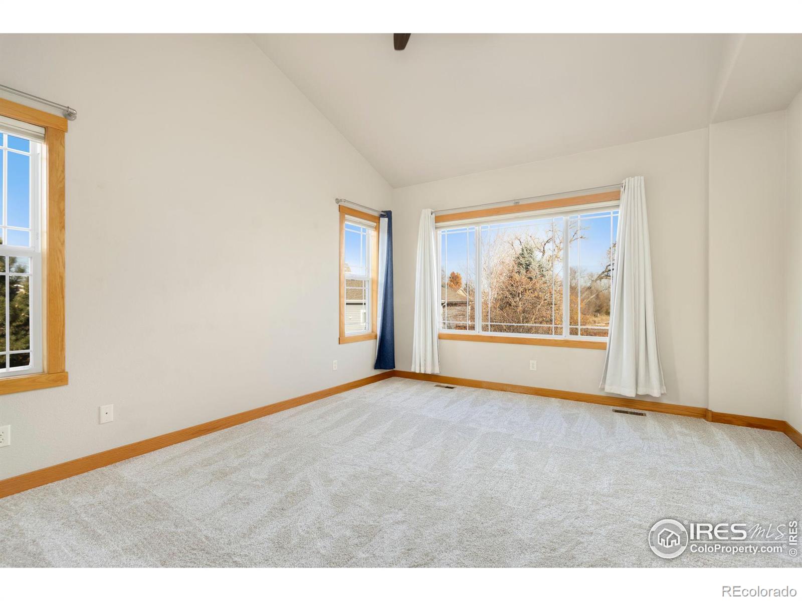 MLS Image #18 for 1424  paddle court,fort collins, Colorado