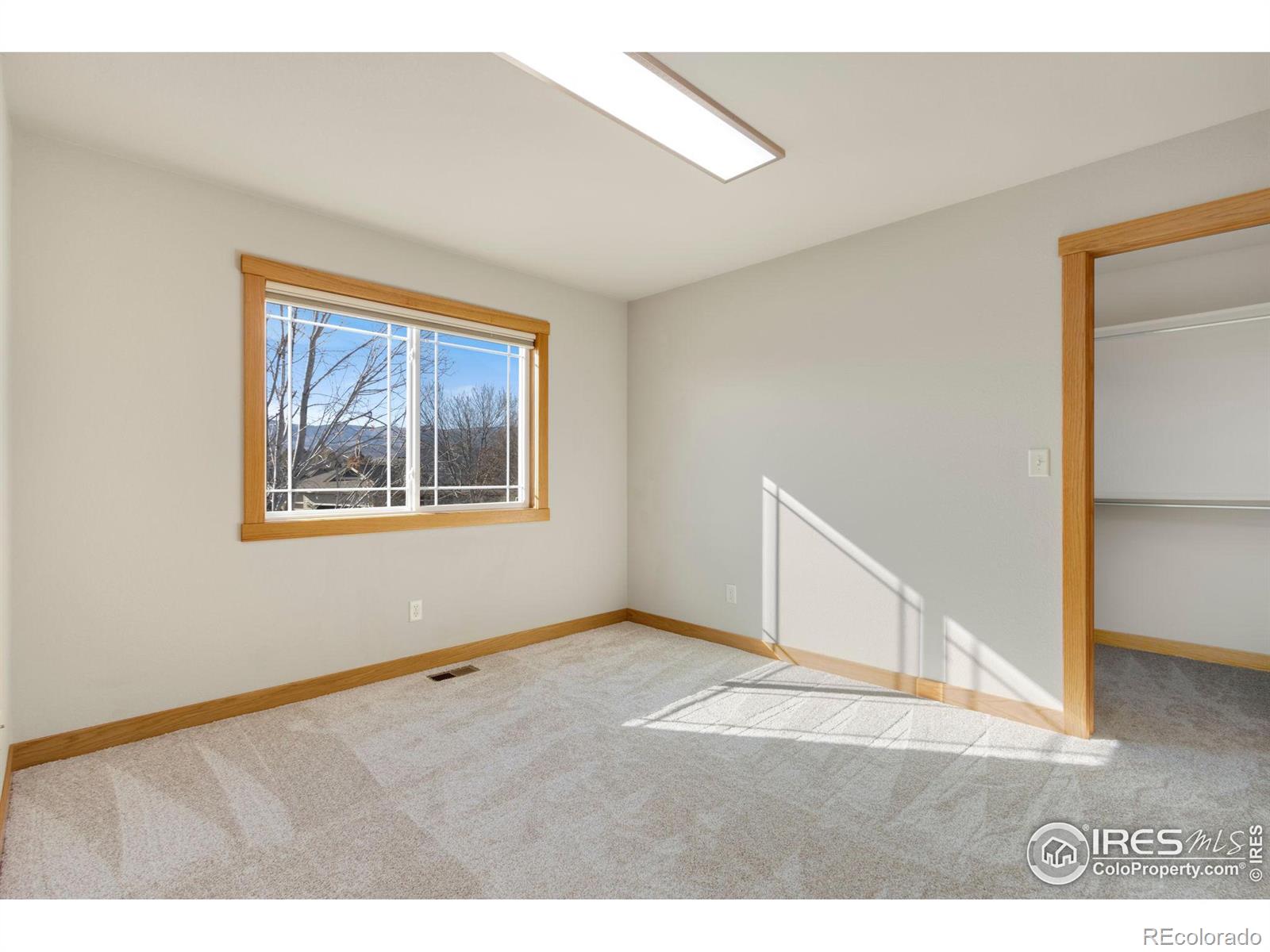 MLS Image #24 for 1424  paddle court,fort collins, Colorado