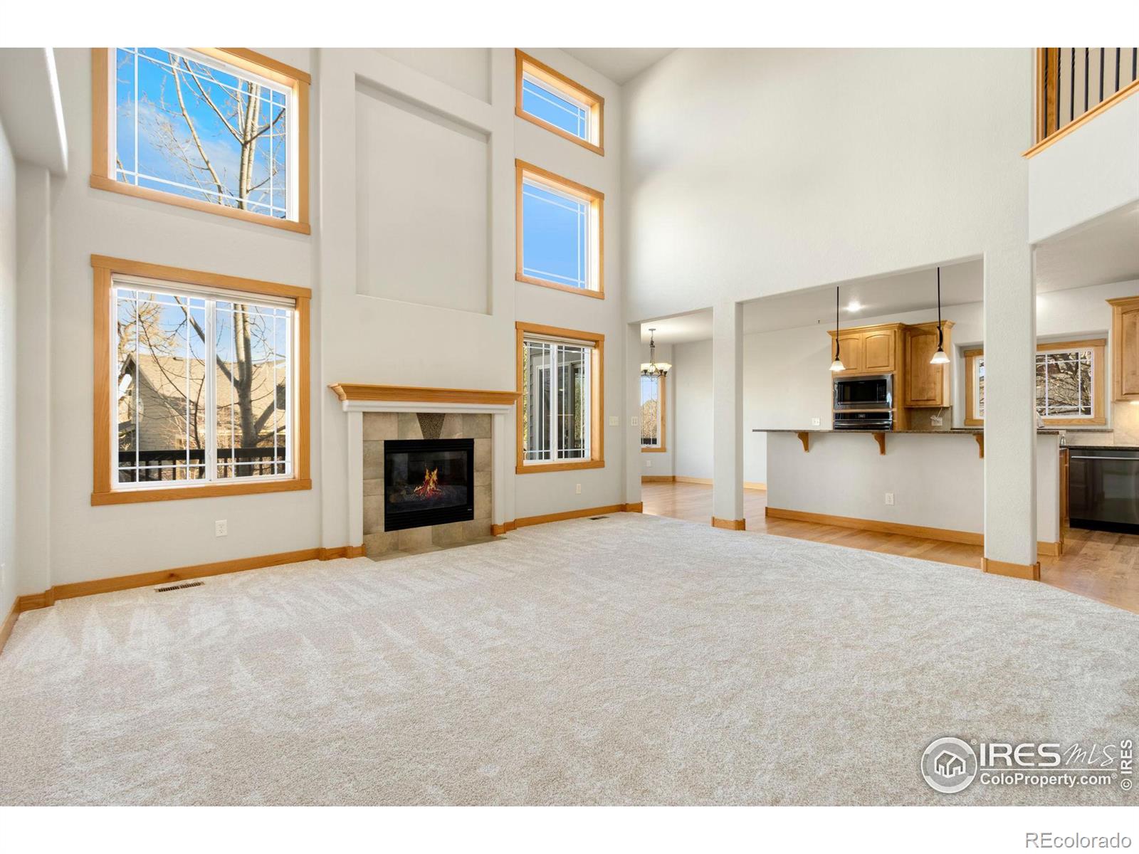 MLS Image #5 for 1424  paddle court,fort collins, Colorado