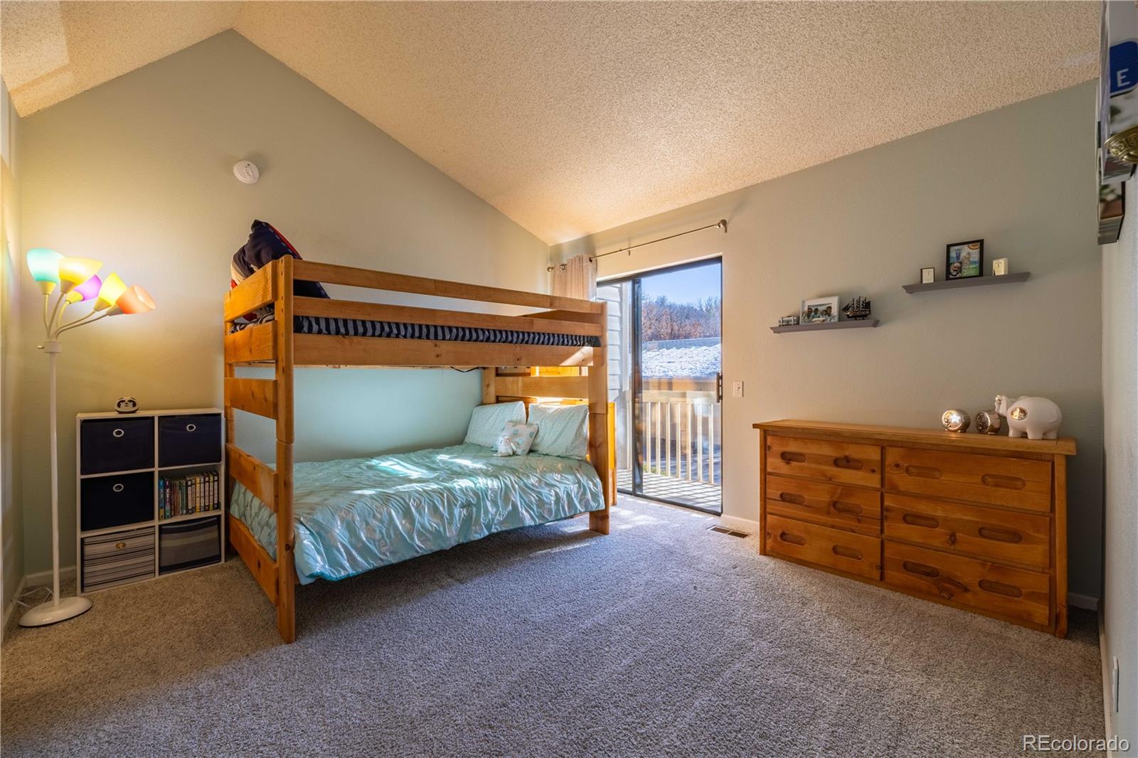 MLS Image #20 for 266 s oman road,castle rock, Colorado