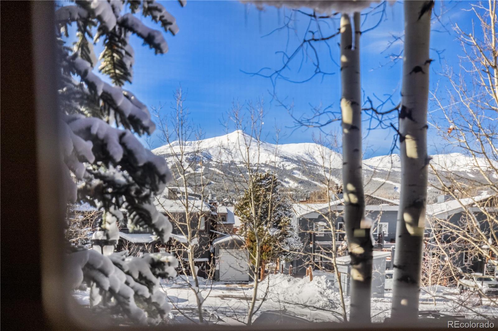 MLS Image #1 for 518 s ridge street 518,breckenridge, Colorado