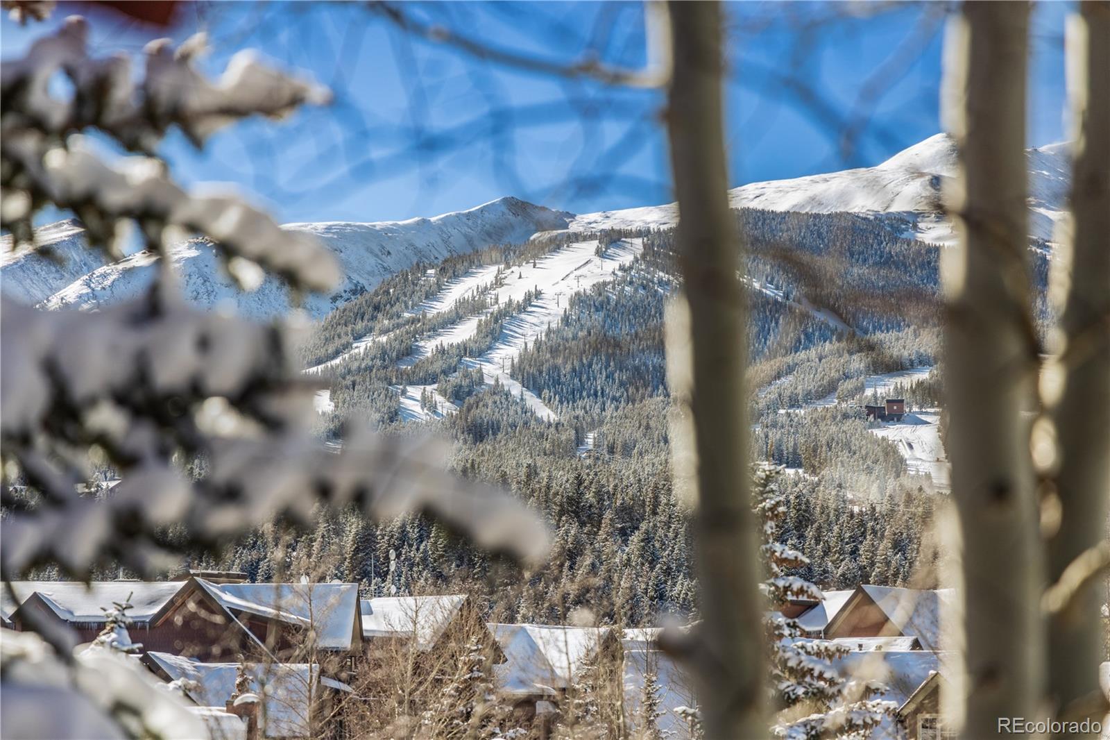 MLS Image #29 for 518 s ridge street,breckenridge, Colorado