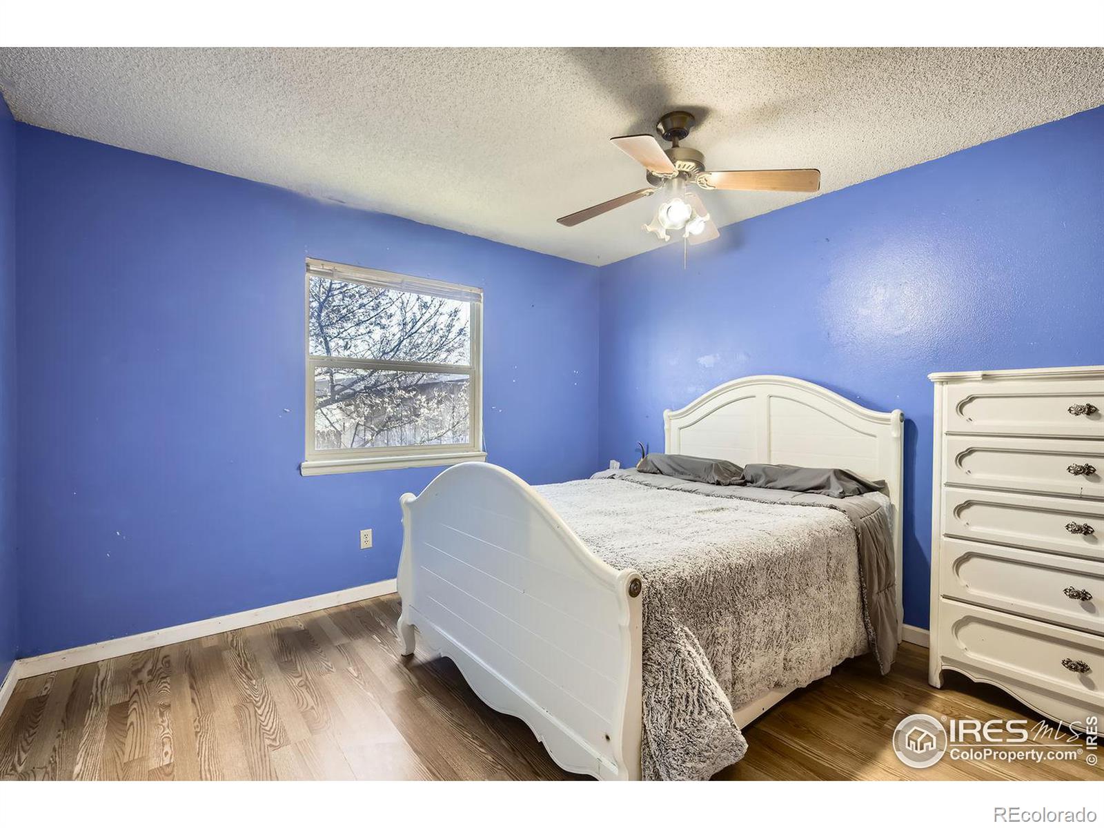 MLS Image #12 for 3602  bobcat place,fort collins, Colorado