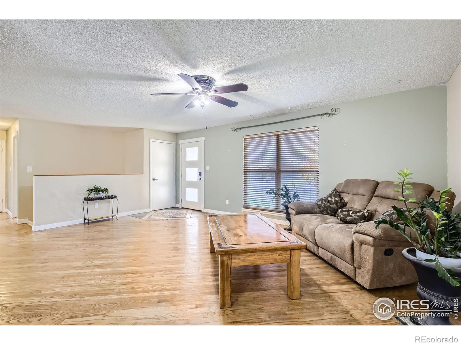 MLS Image #5 for 3602  bobcat place,fort collins, Colorado