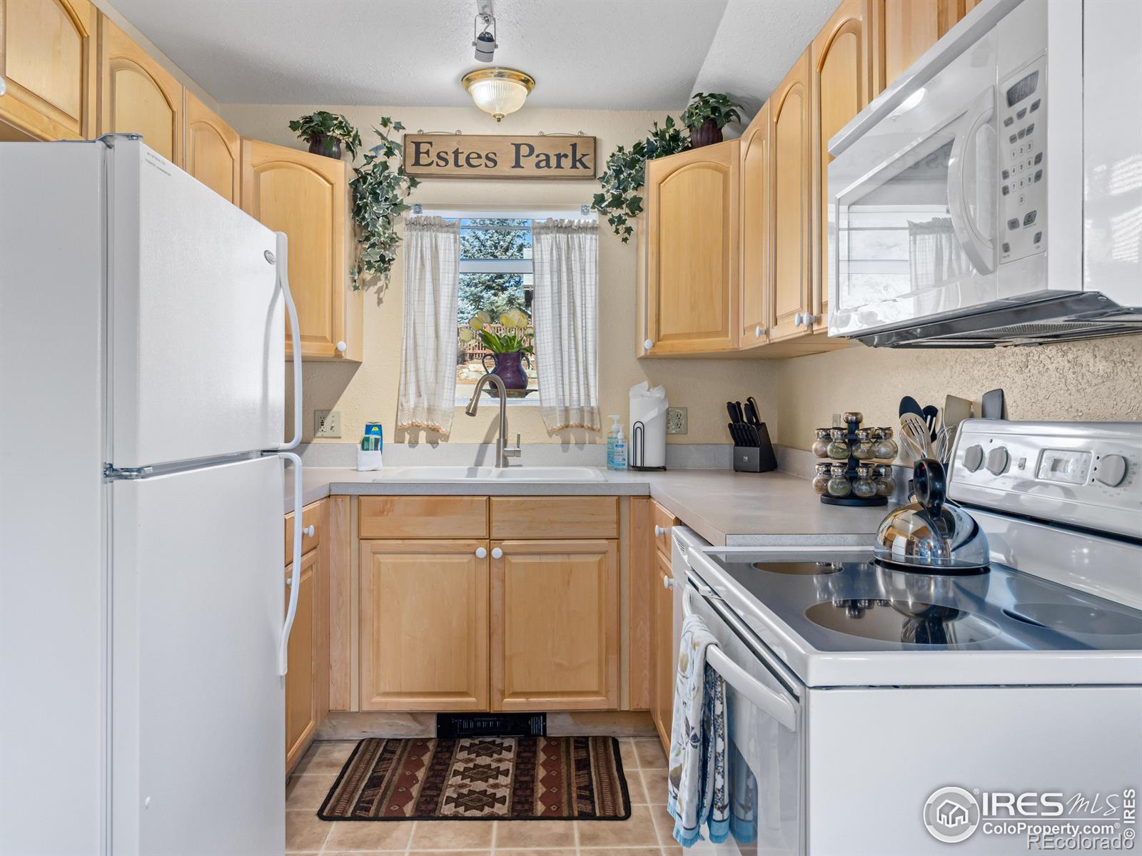 MLS Image #10 for 220  virginia drive,estes park, Colorado