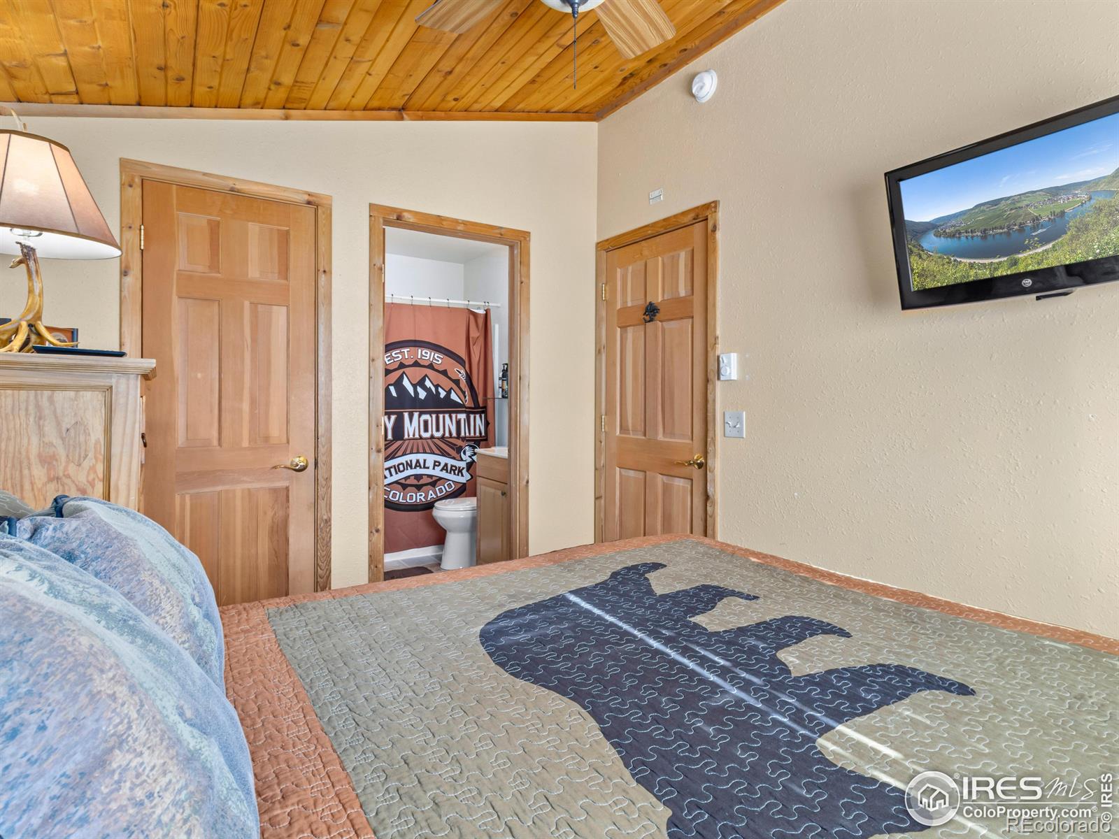 MLS Image #11 for 220  virginia drive,estes park, Colorado