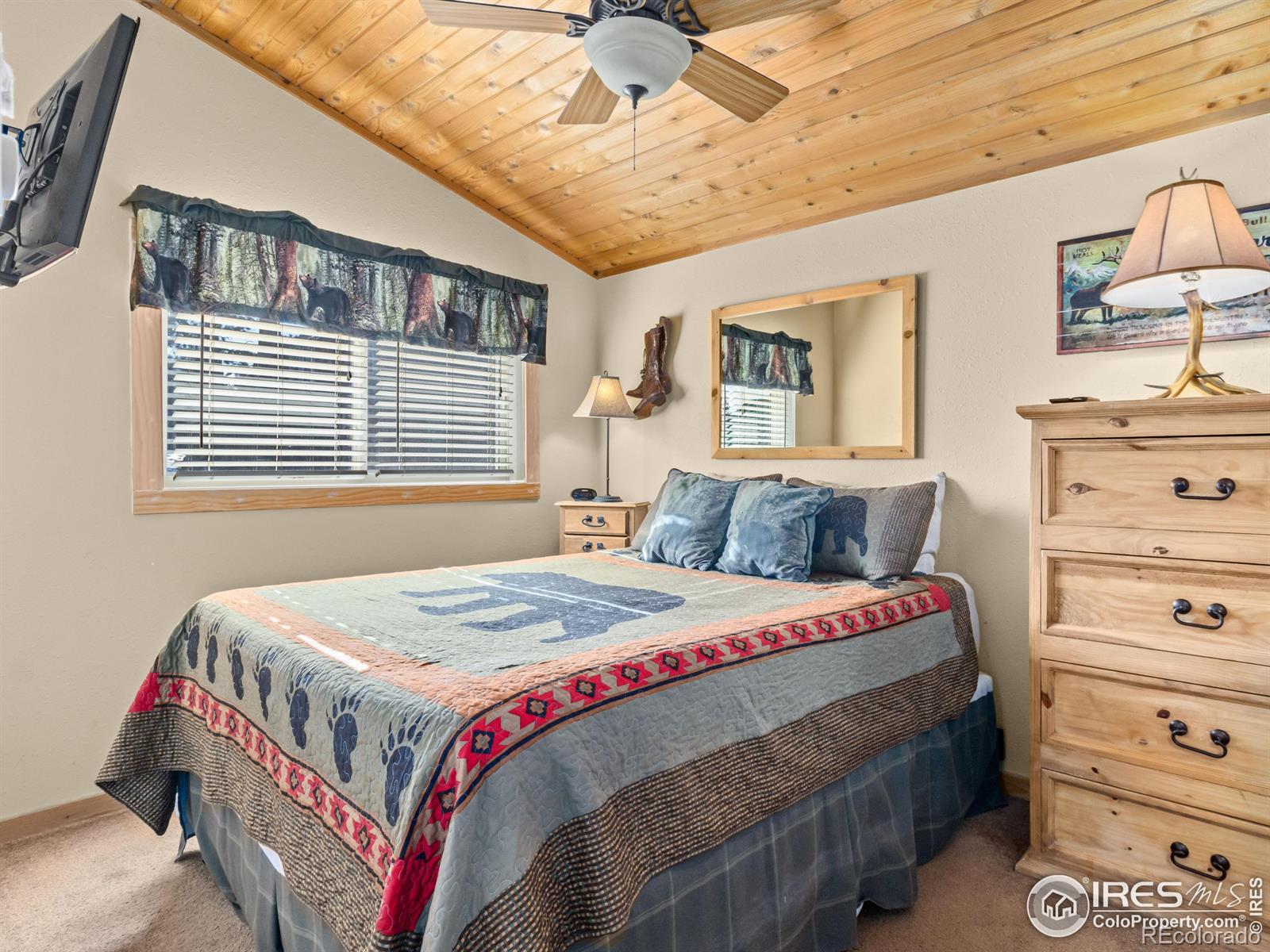 MLS Image #12 for 220  virginia drive,estes park, Colorado