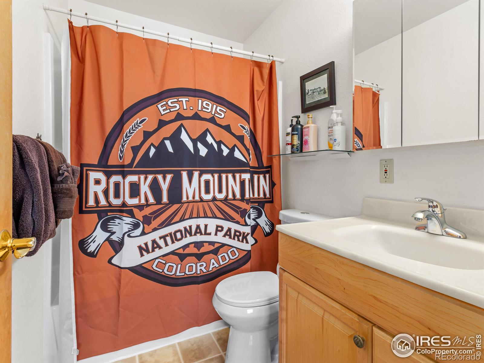 MLS Image #14 for 220  virginia drive,estes park, Colorado