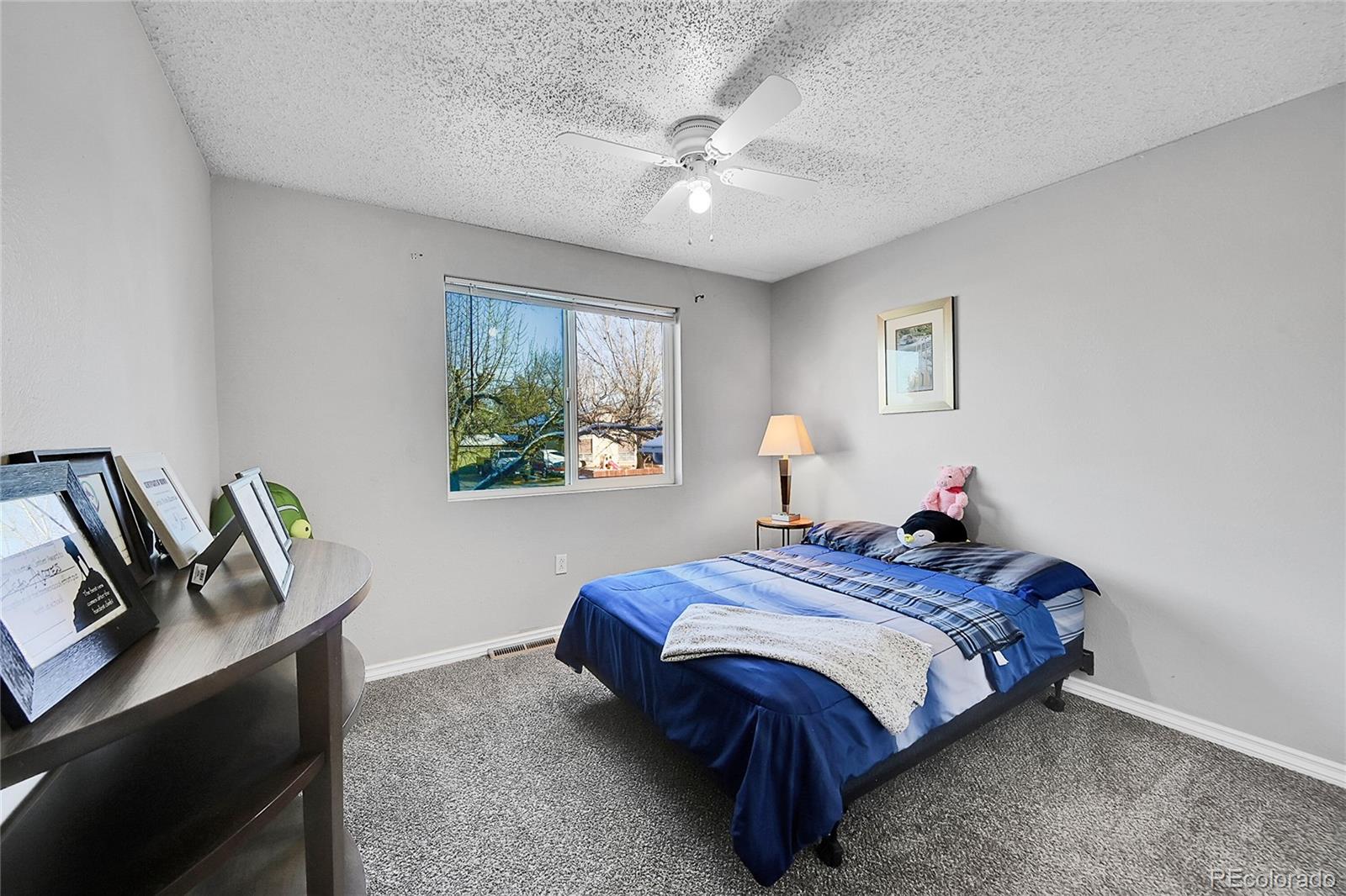 MLS Image #14 for 737 s 10th avenue,brighton, Colorado