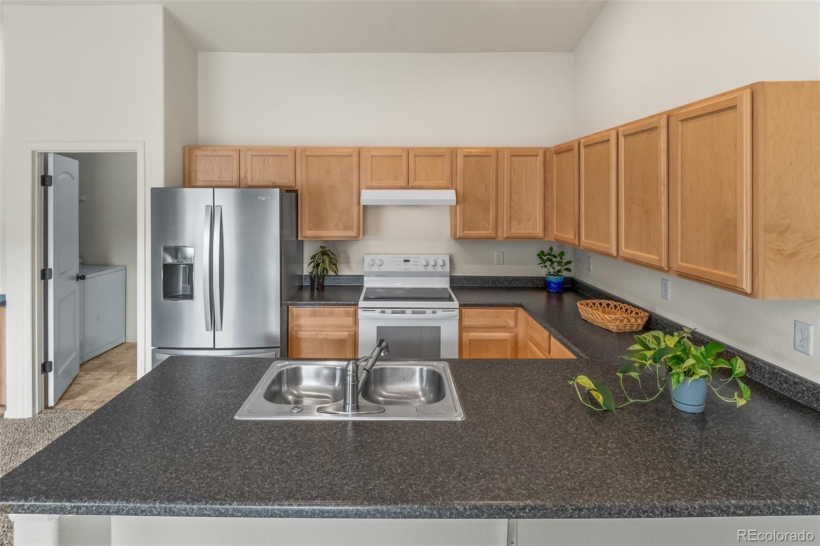 MLS Image #4 for 319  torreys drive,severance, Colorado