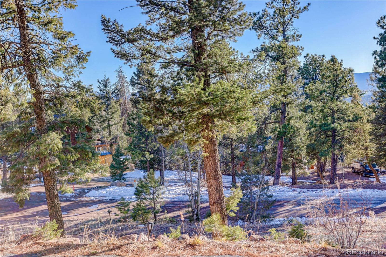 MLS Image #43 for 31037  witteman road,conifer, Colorado