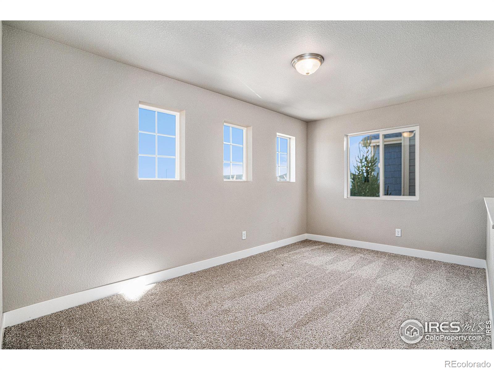 MLS Image #14 for 2233  joseph allen drive,fort collins, Colorado