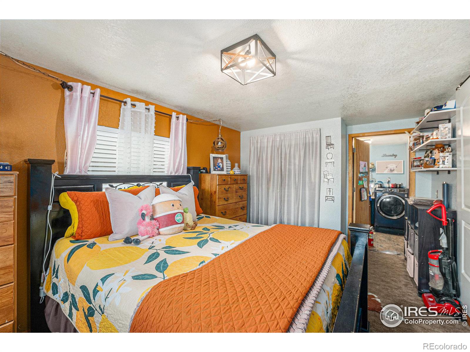 MLS Image #9 for 907  elm court,fort lupton, Colorado