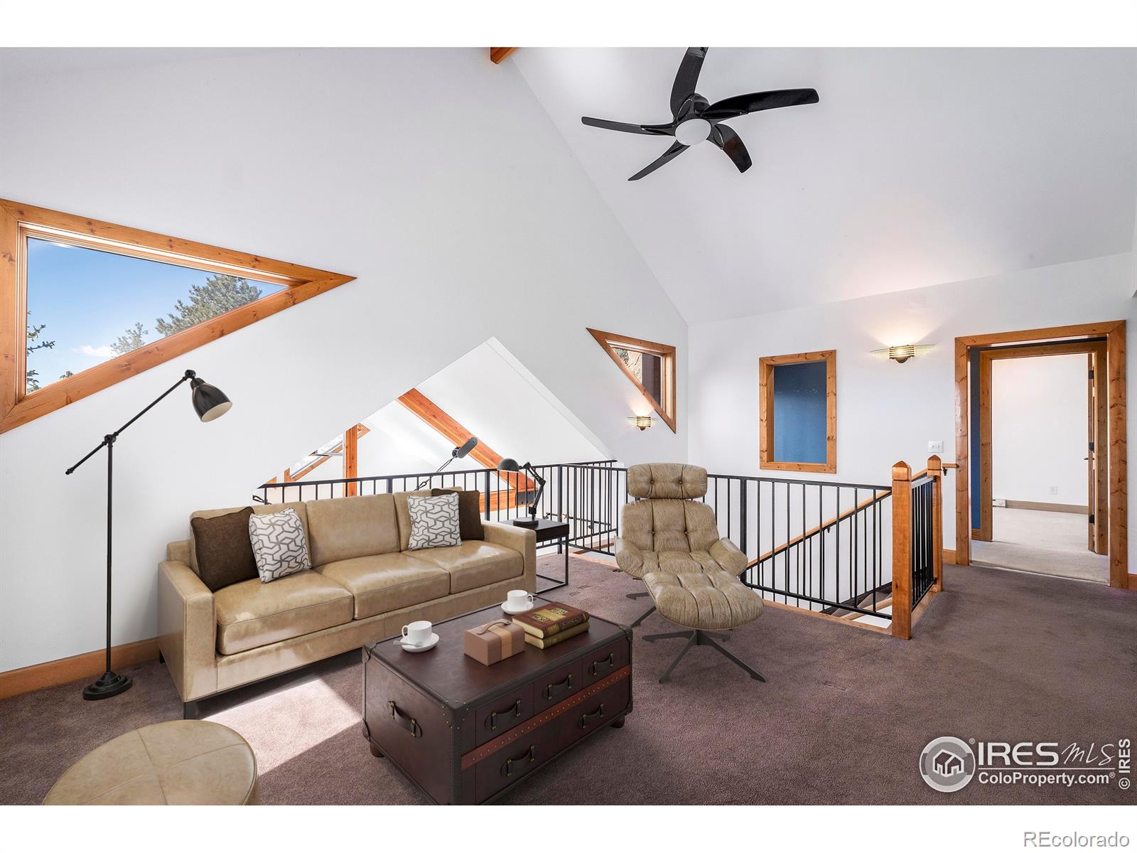 MLS Image #26 for 1269  chasm drive,estes park, Colorado