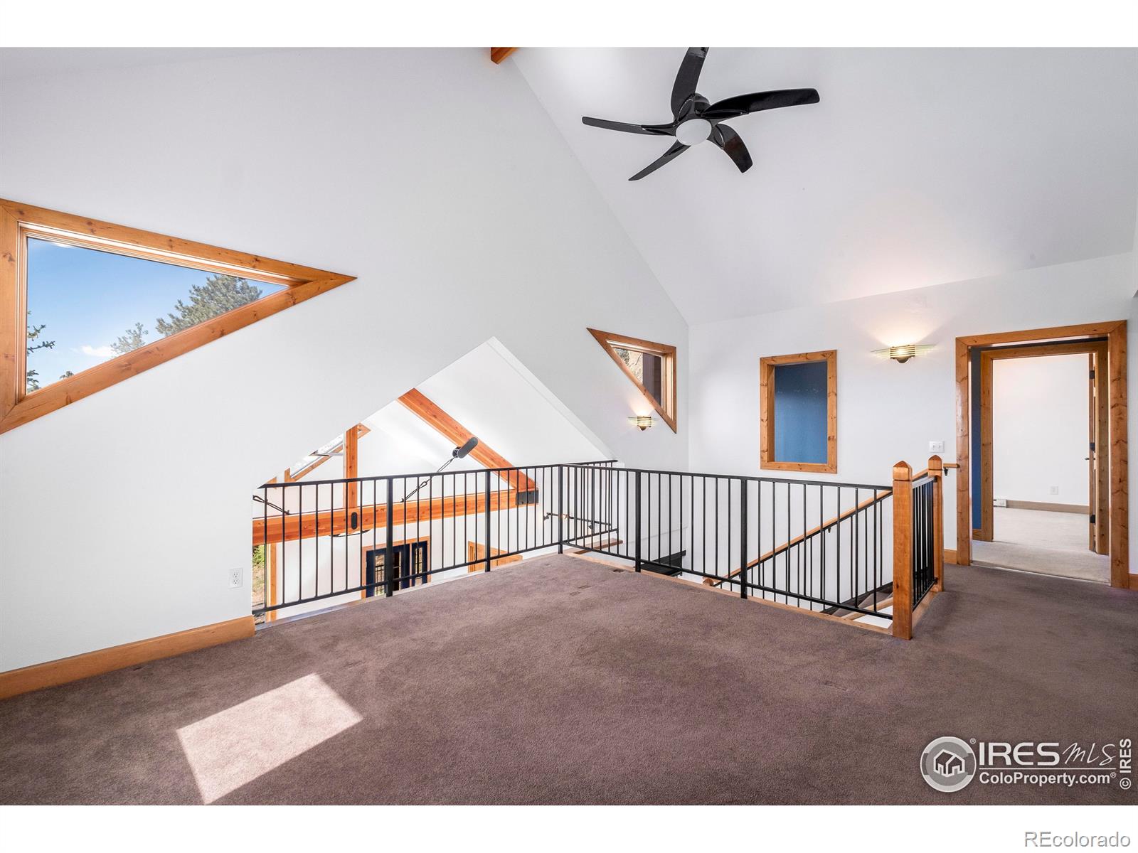 MLS Image #27 for 1269  chasm drive,estes park, Colorado