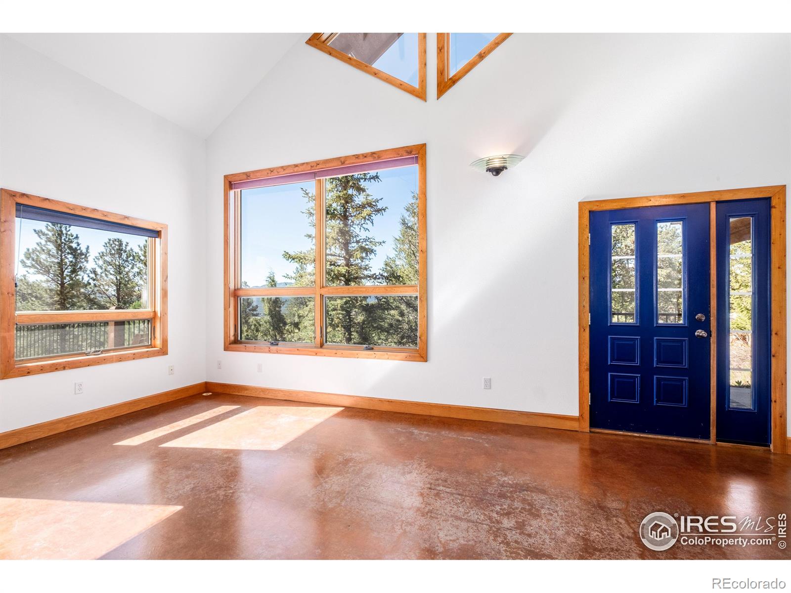 MLS Image #8 for 1269  chasm drive,estes park, Colorado