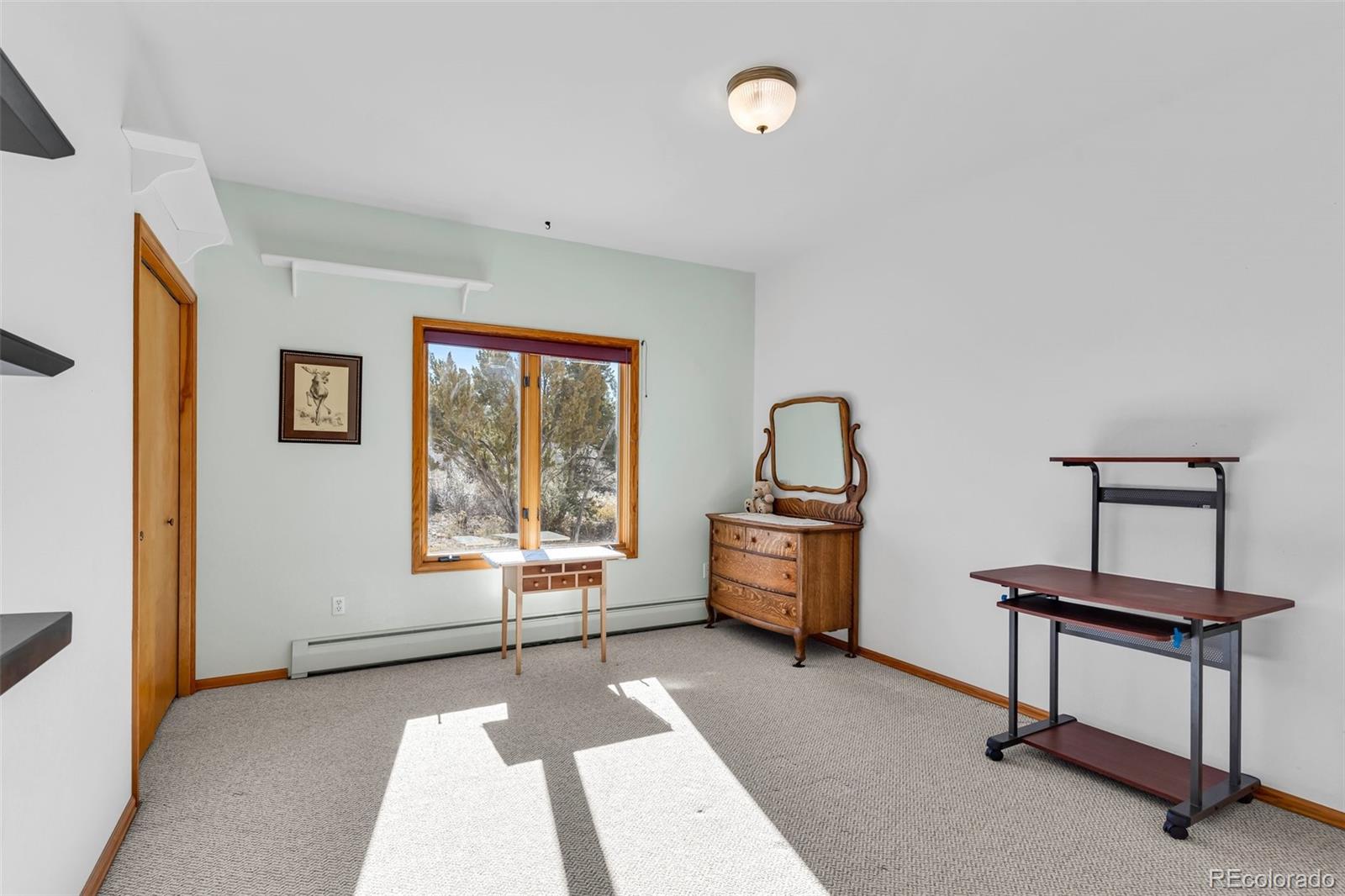 MLS Image #12 for 7740  red creek springs road,pueblo, Colorado