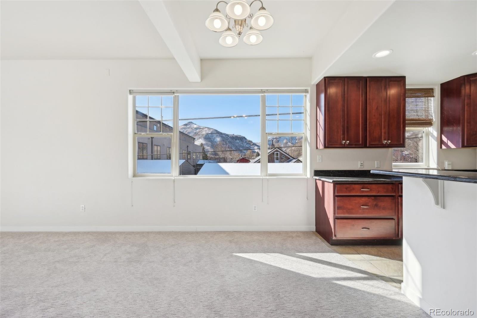 MLS Image #10 for 722  washington avenue,golden, Colorado