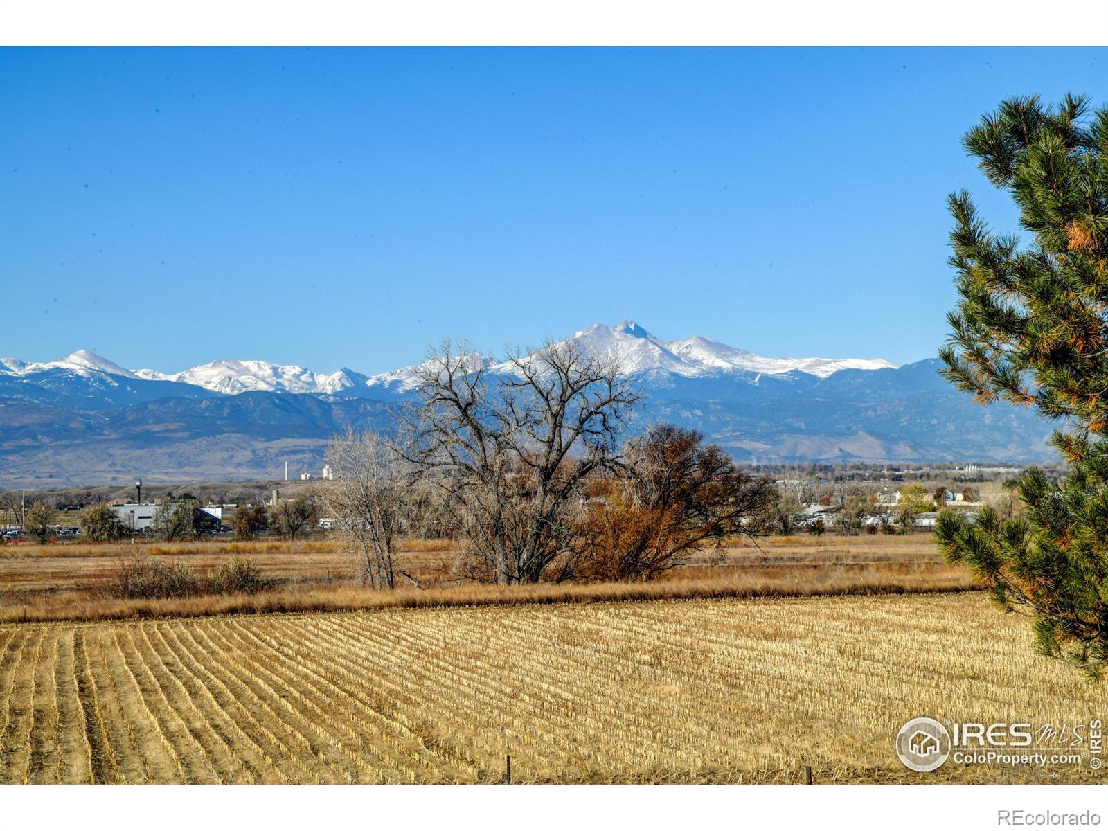 MLS Image #4 for 4706  monarch drive,firestone, Colorado