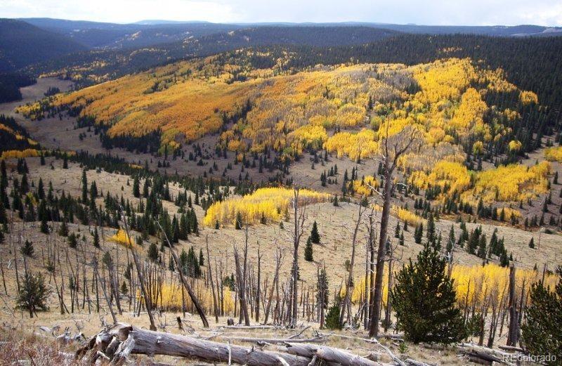 MLS Image #48 for 33059  forest service road,del norte, Colorado