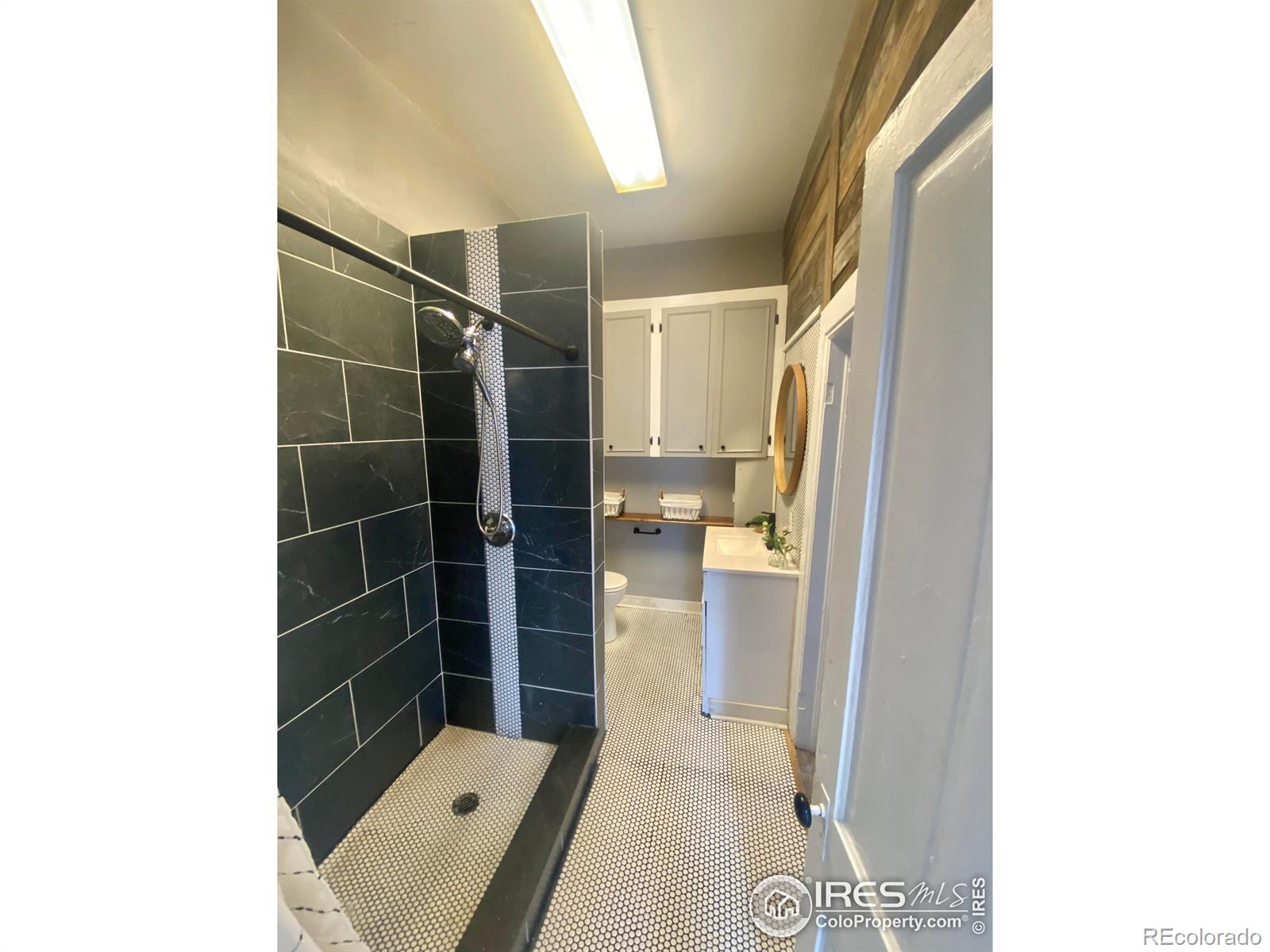 MLS Image #11 for 203 s 3rd avenue,brighton, Colorado