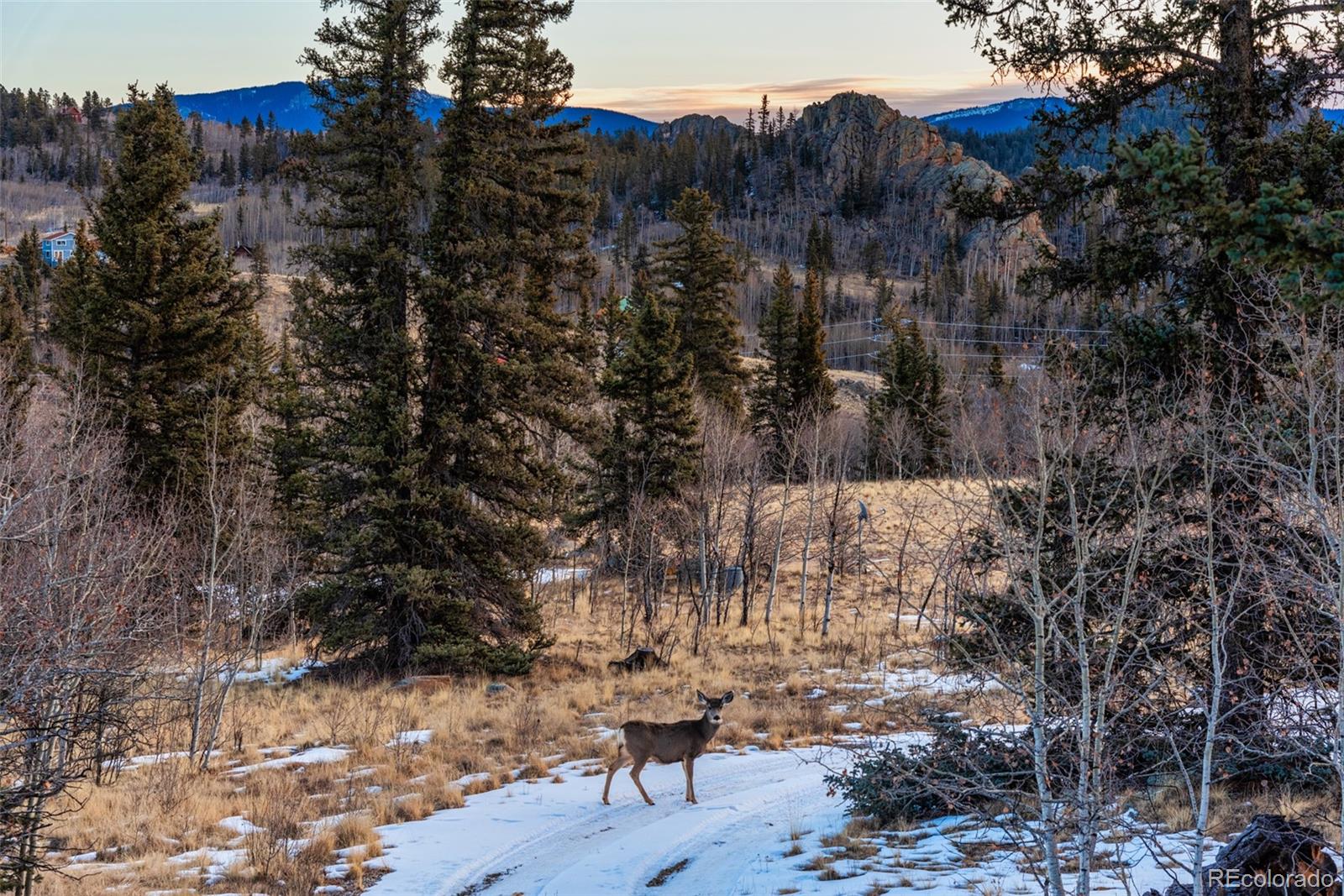 MLS Image #42 for 3557  stagestop road,jefferson, Colorado