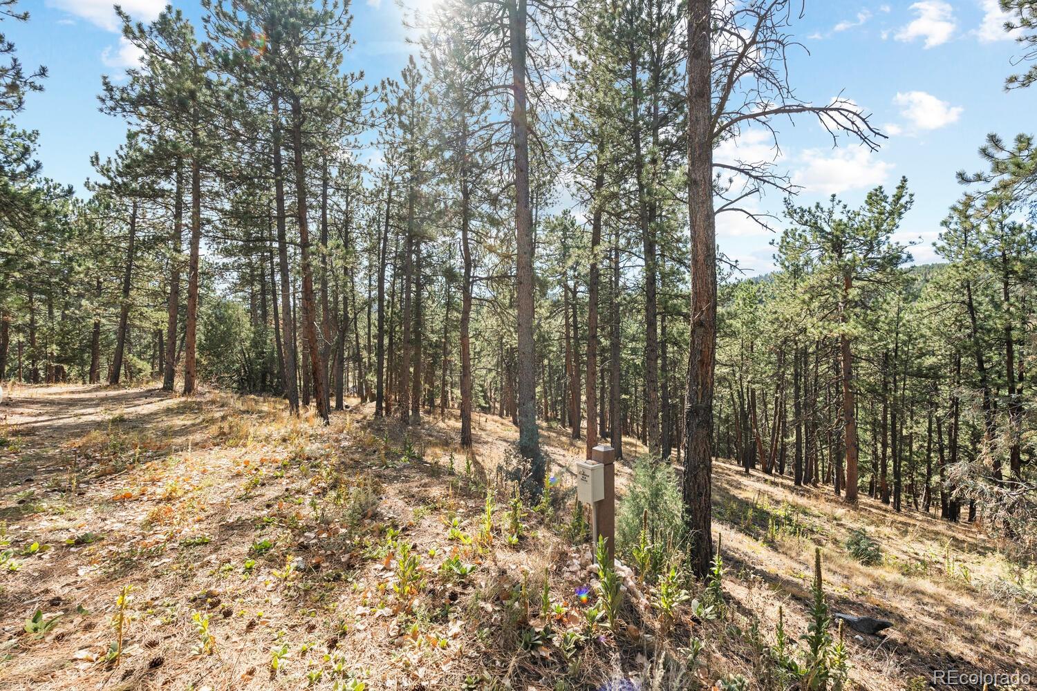 MLS Image #44 for 166 s rainbow trail,evergreen, Colorado