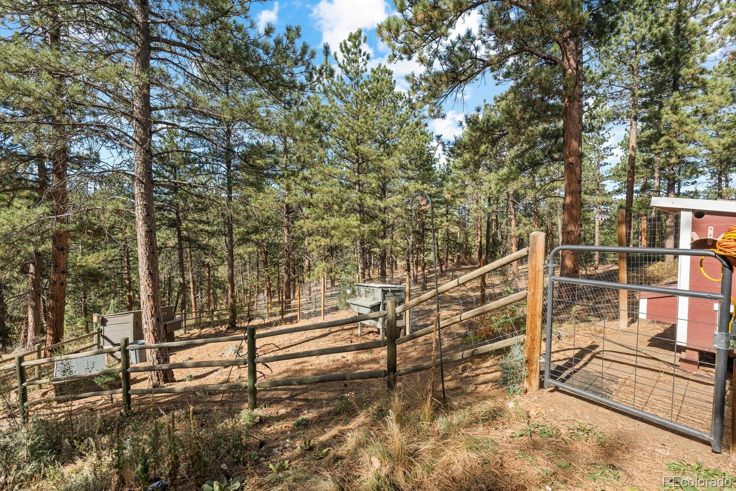 MLS Image #45 for 166 s rainbow trail,evergreen, Colorado