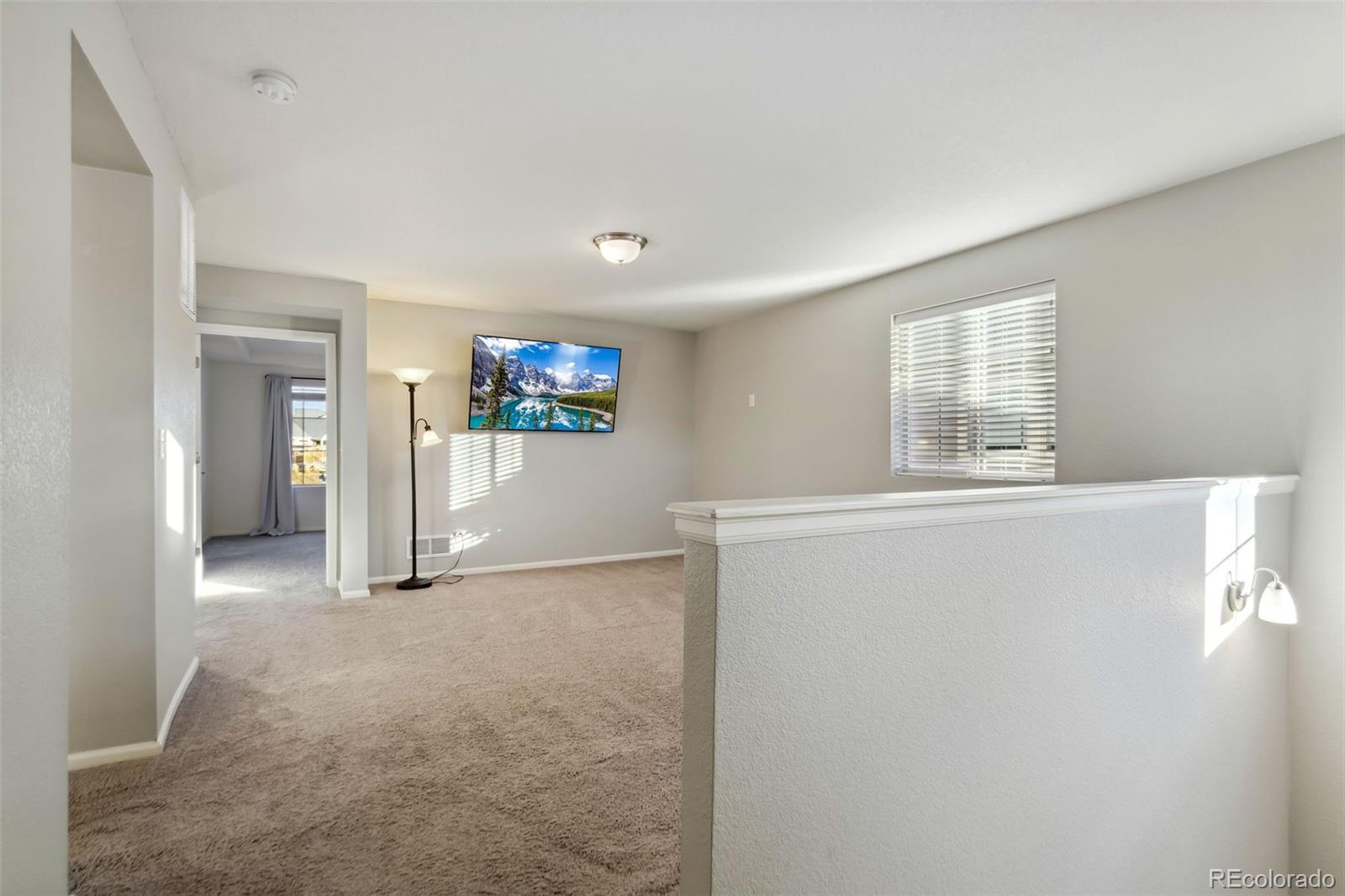 MLS Image #18 for 7251  sedgerock lane,colorado springs, Colorado